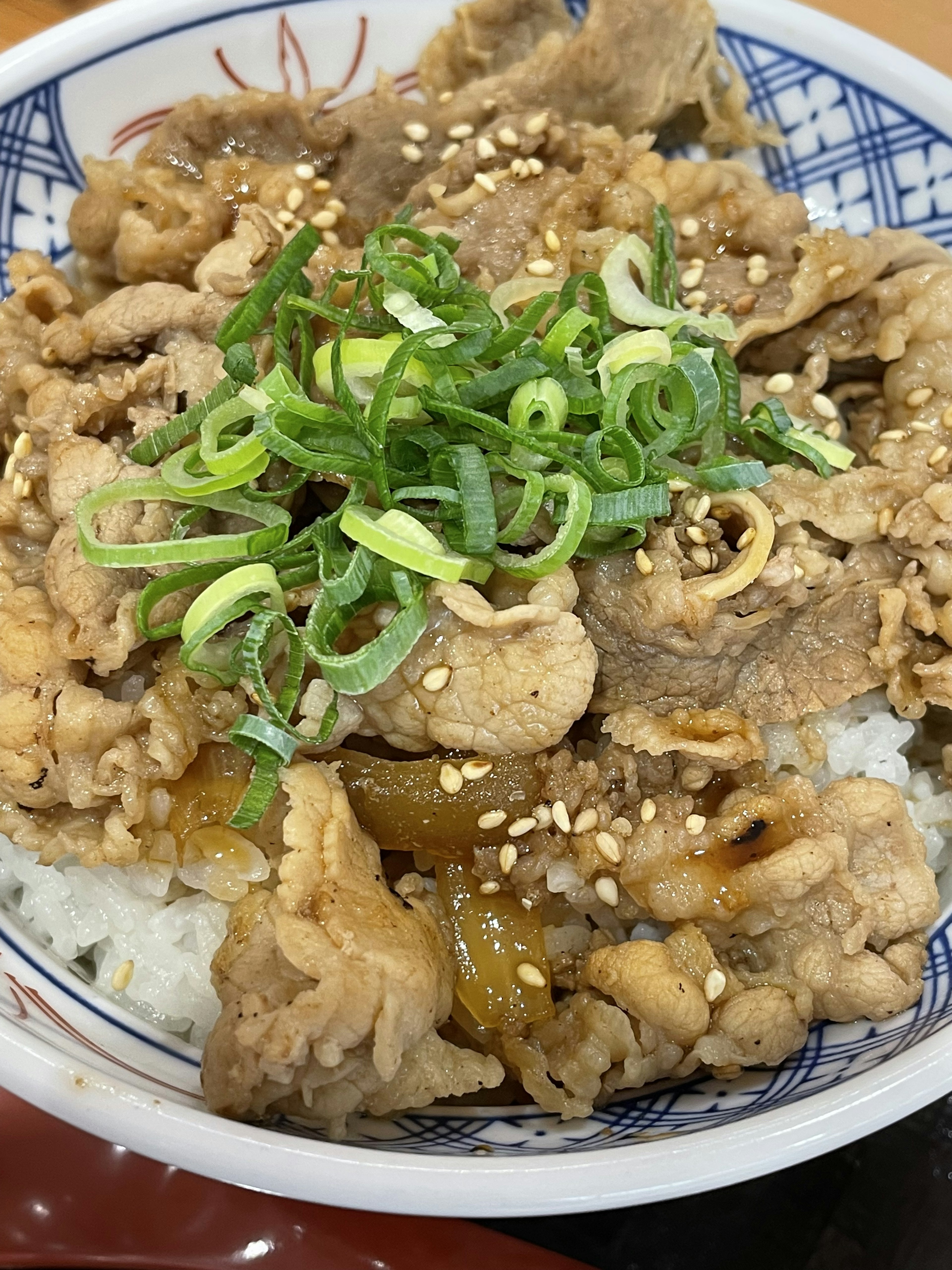 ご飯の上に牛肉とネギが乗った丼料理