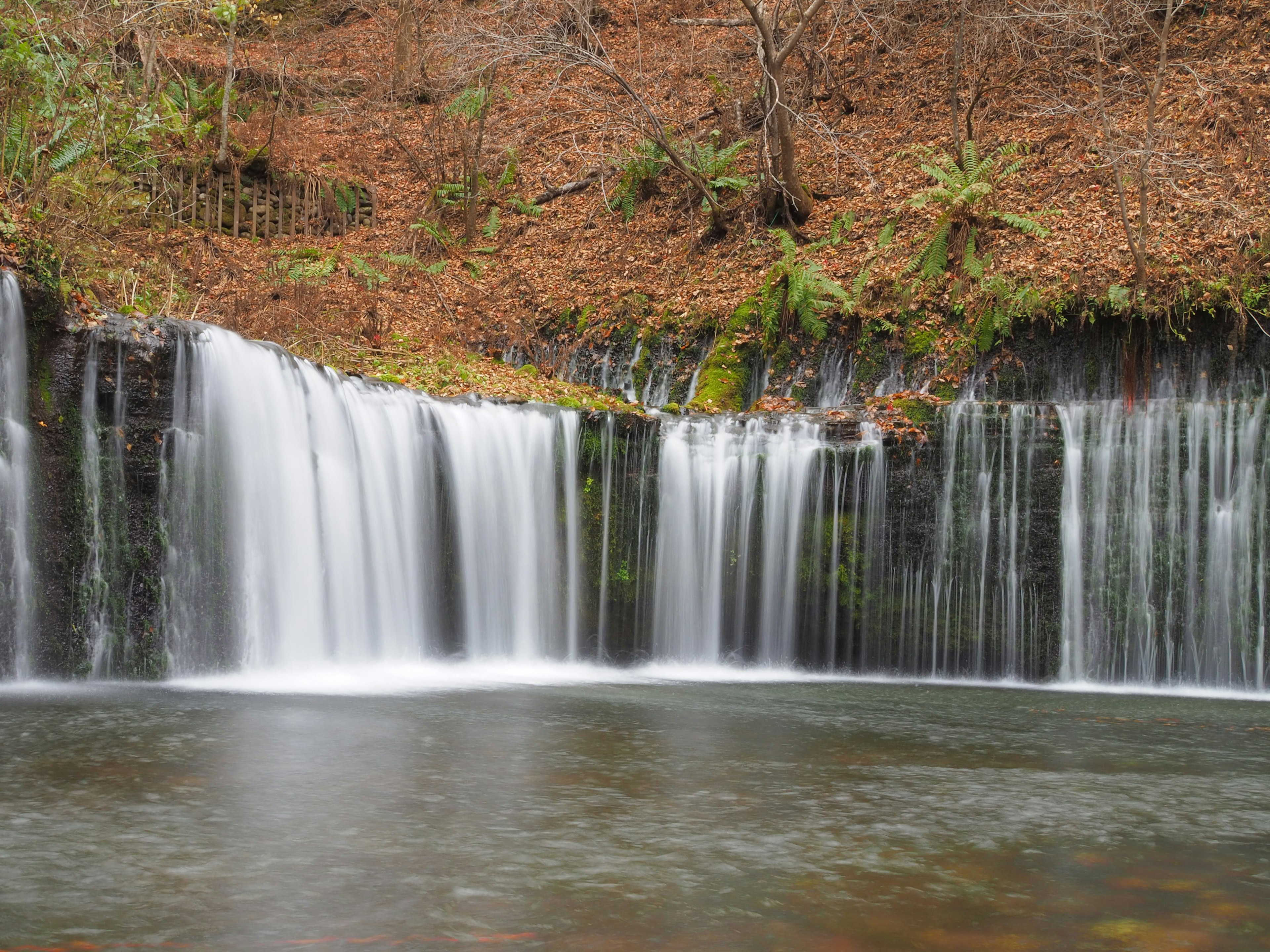 A scenic view of a beautiful waterfall flowing in a forest setting with calm water