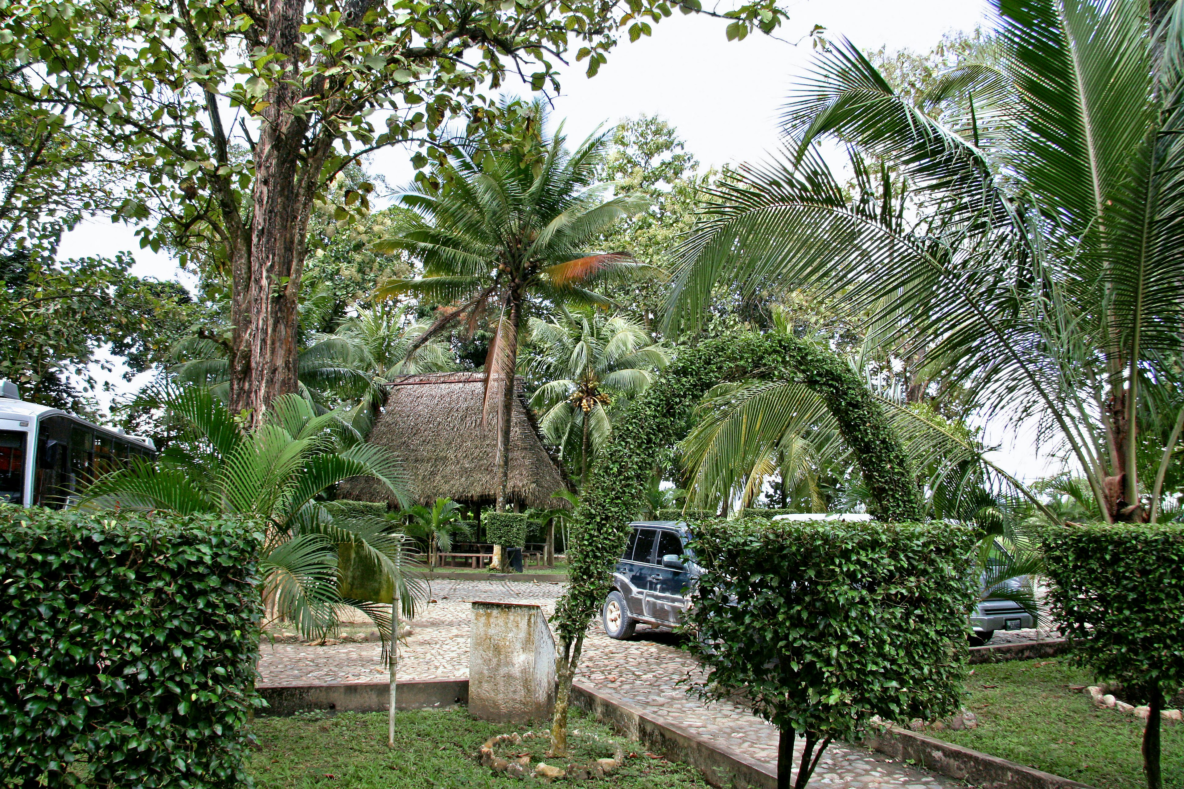 Lush garden with a thatched roof hut and various plants