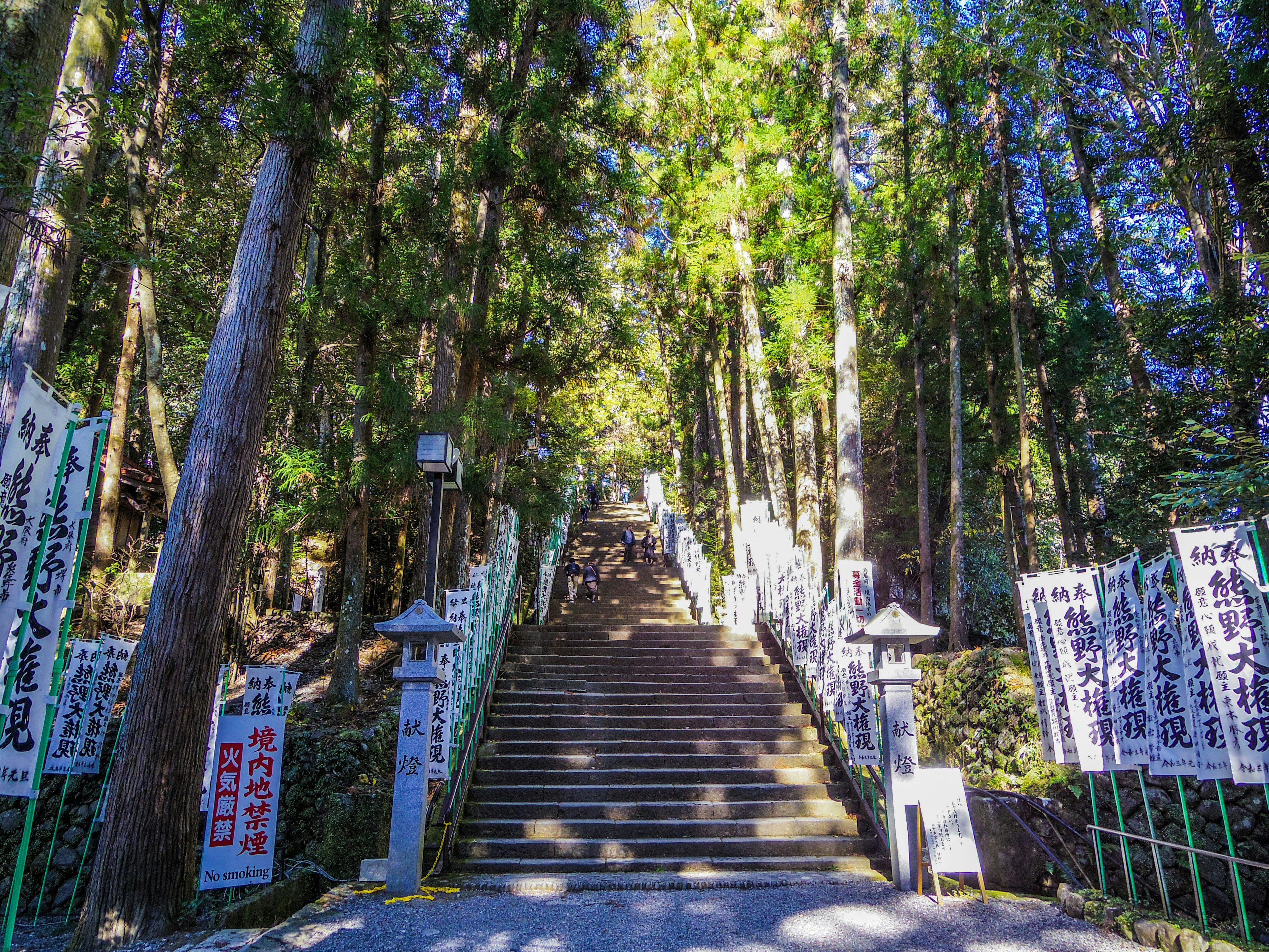 Treppen, die durch einen bewaldeten Weg zu einem Schrein führen