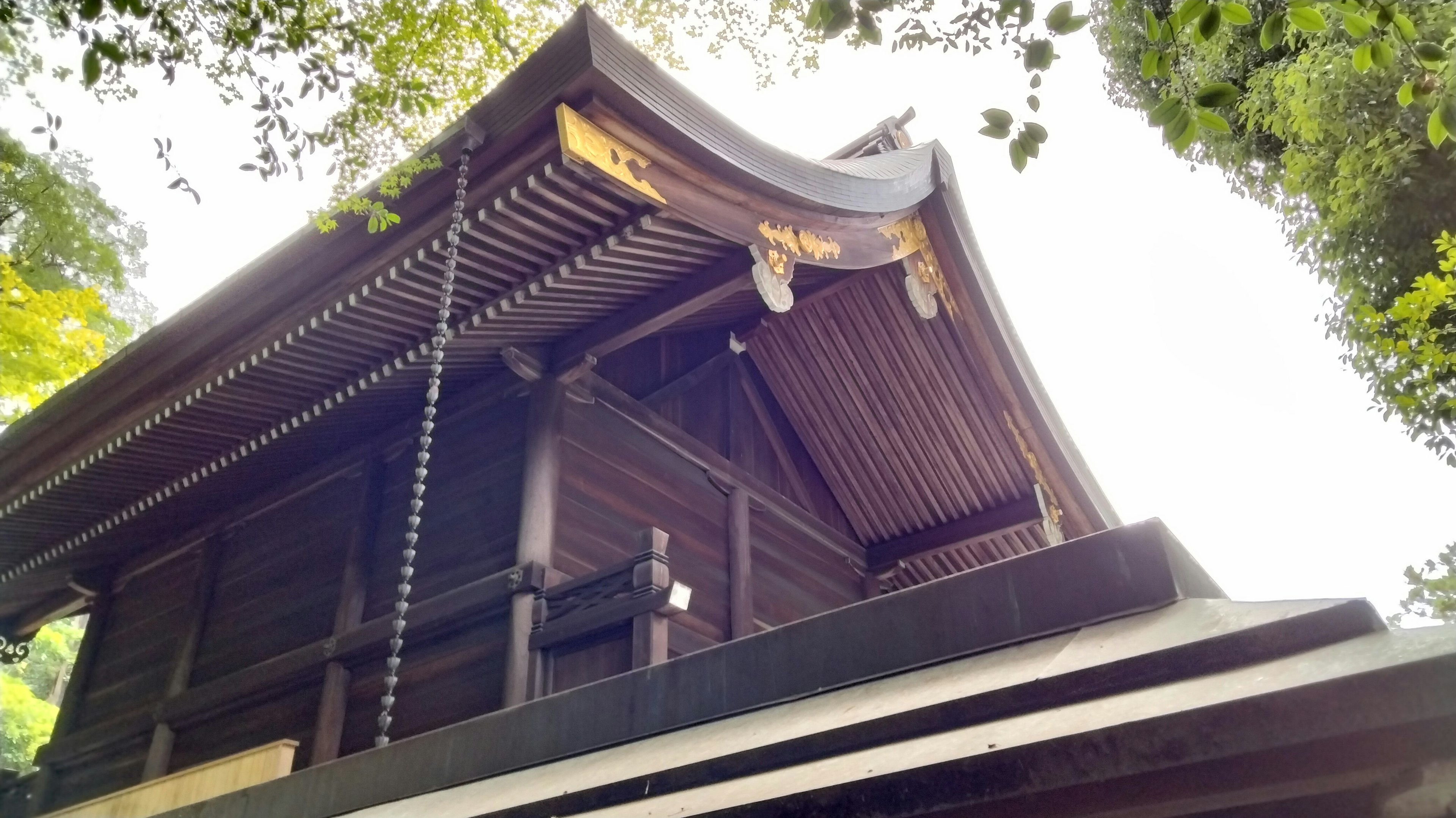 Upper part of a wooden shrine roof surrounded by lush green trees