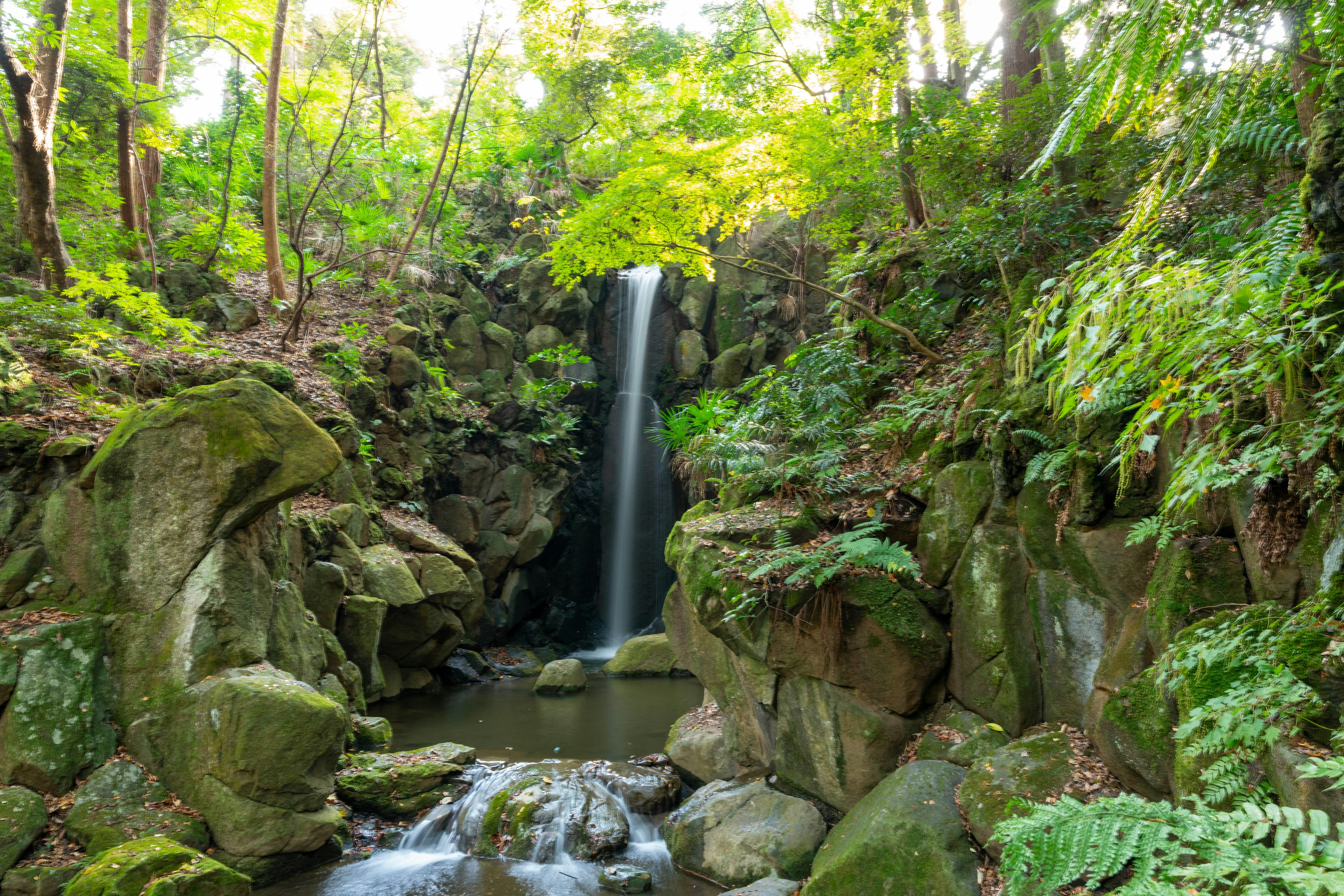 A scenic waterfall surrounded by lush greenery and rocks