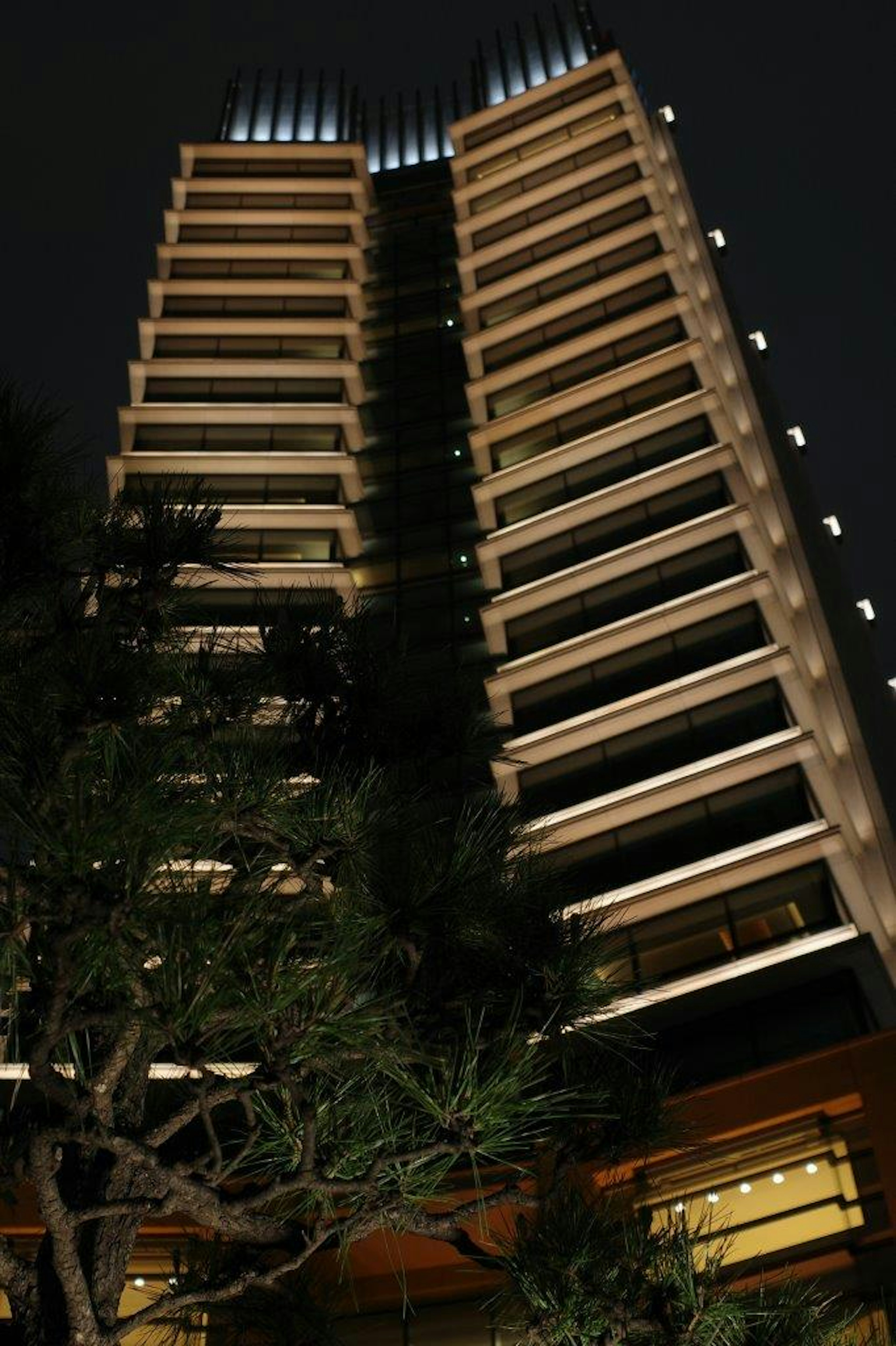 Edificio alto iluminado por la noche con silueta de árbol circundante