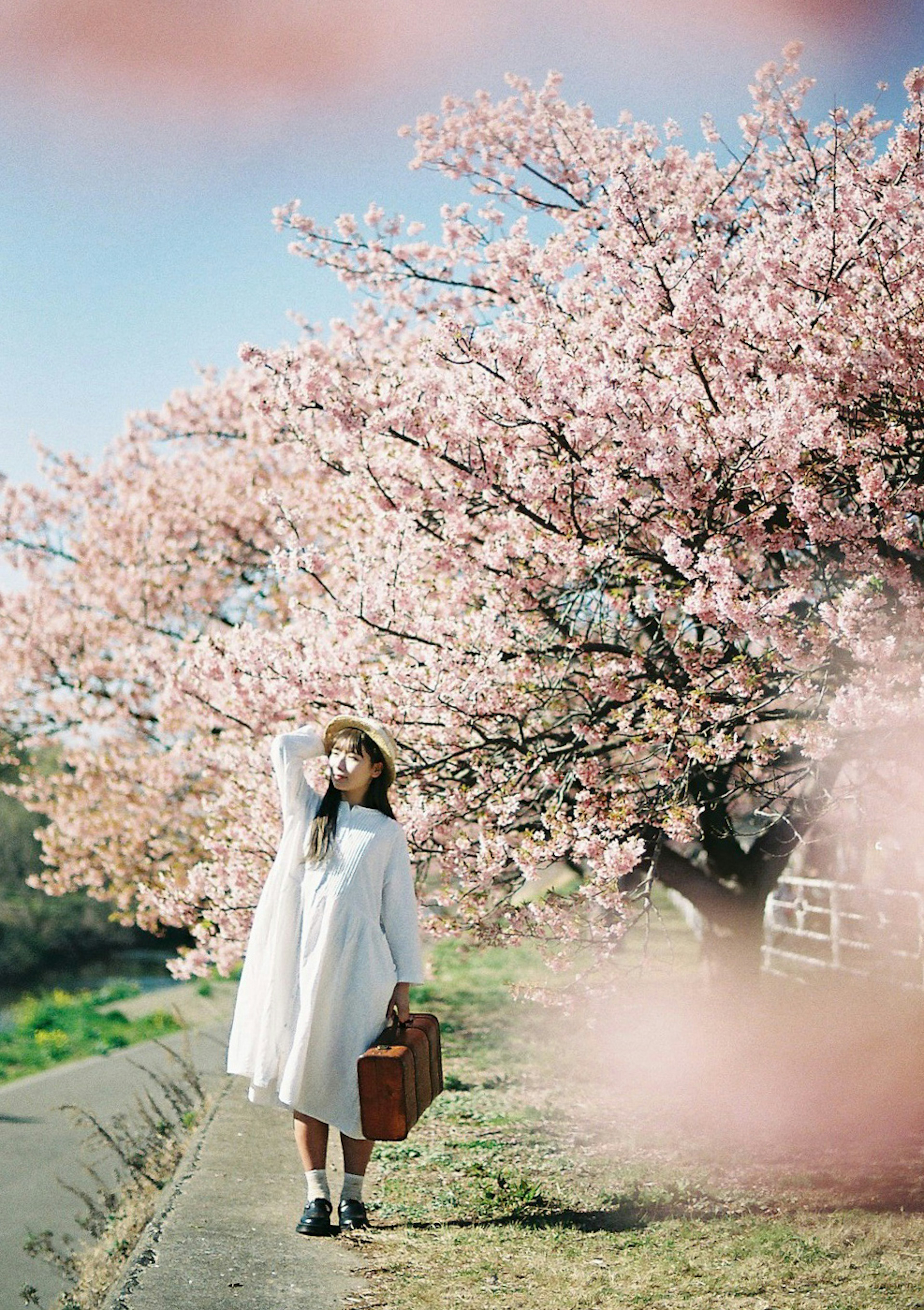 Una mujer con un vestido blanco de pie bajo un árbol de cerezos en flor