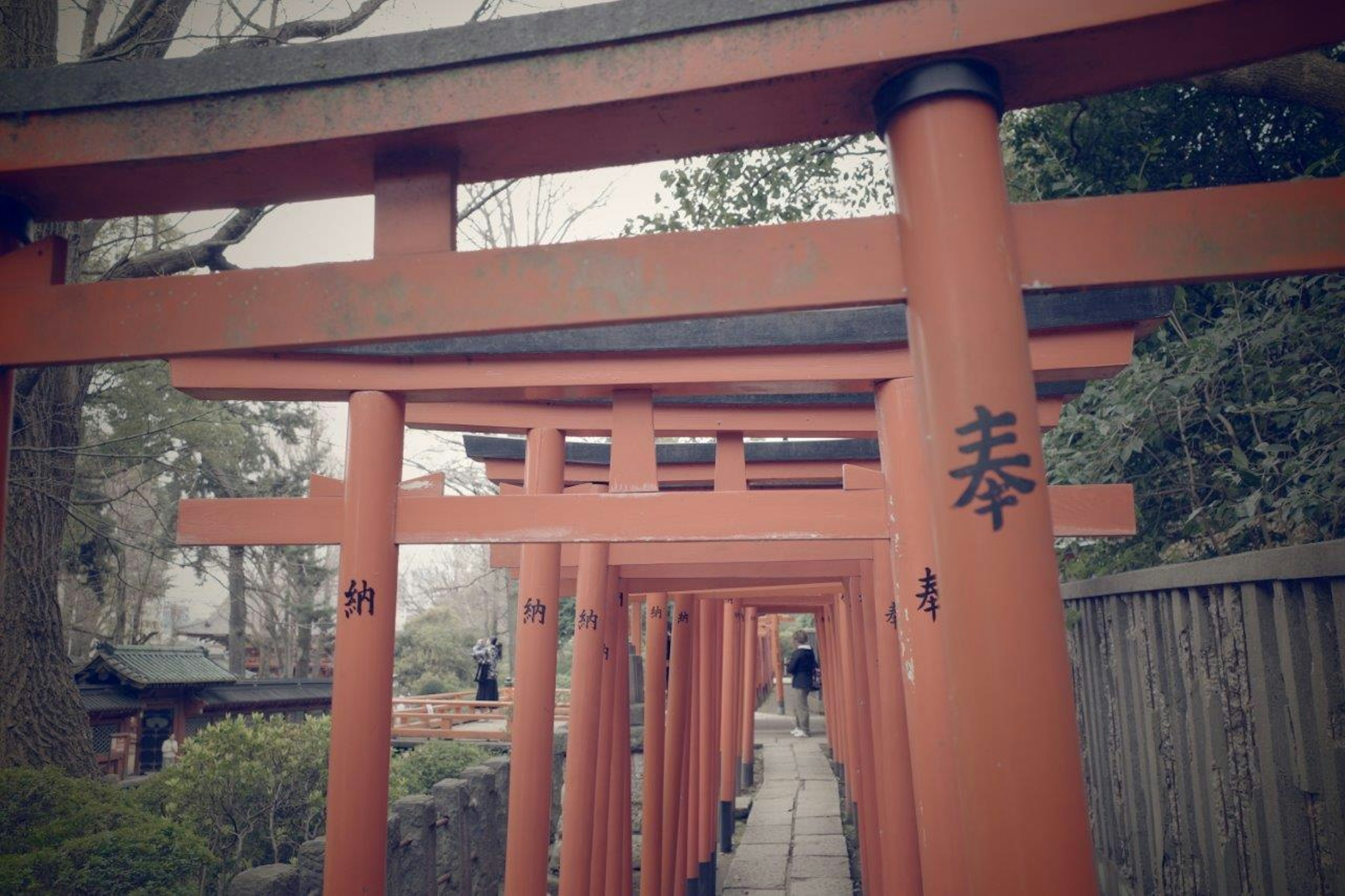 赤い鳥居が並ぶ風景で静寂感が漂う