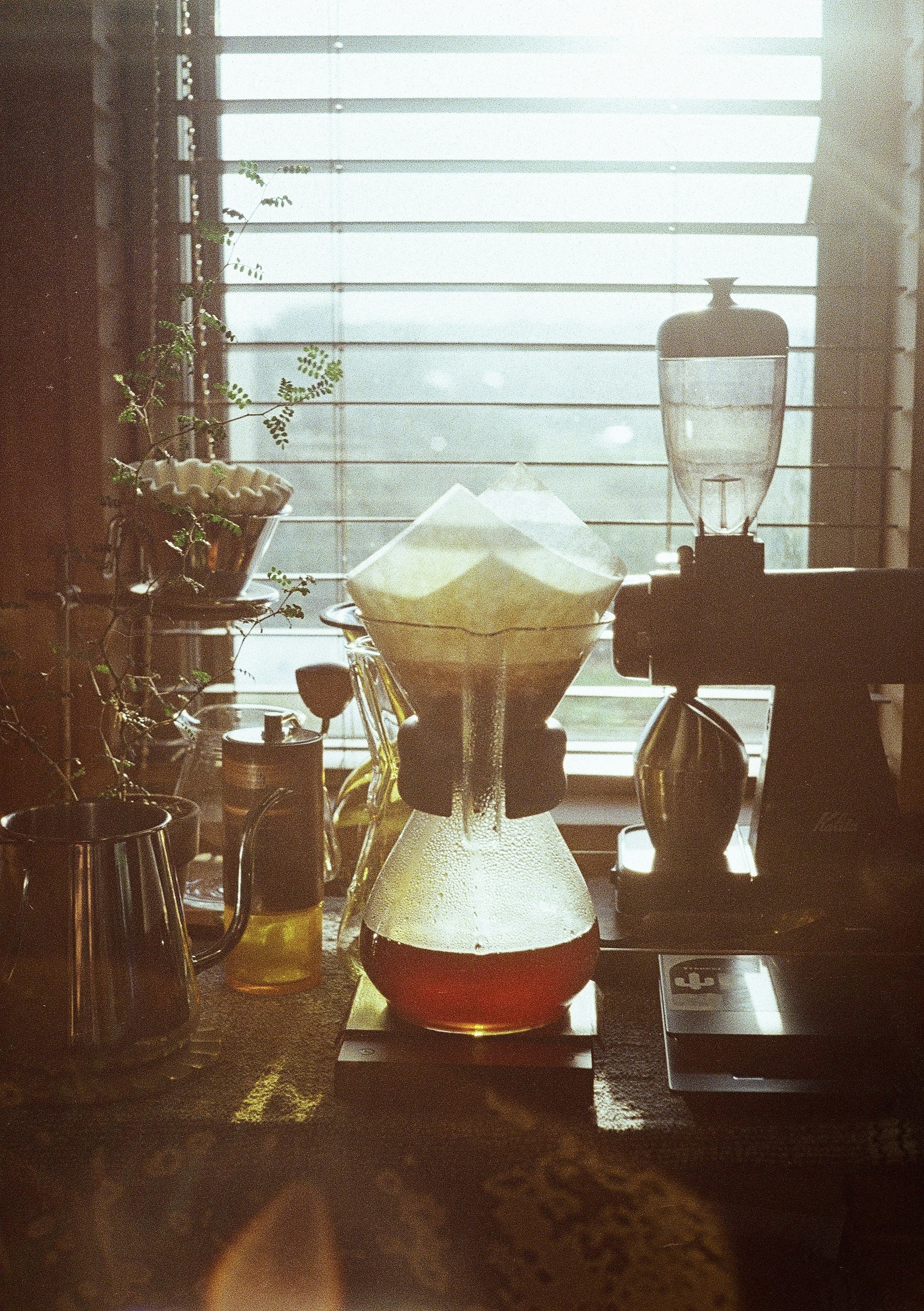 A serene scene featuring coffee brewing equipment and plants by a window