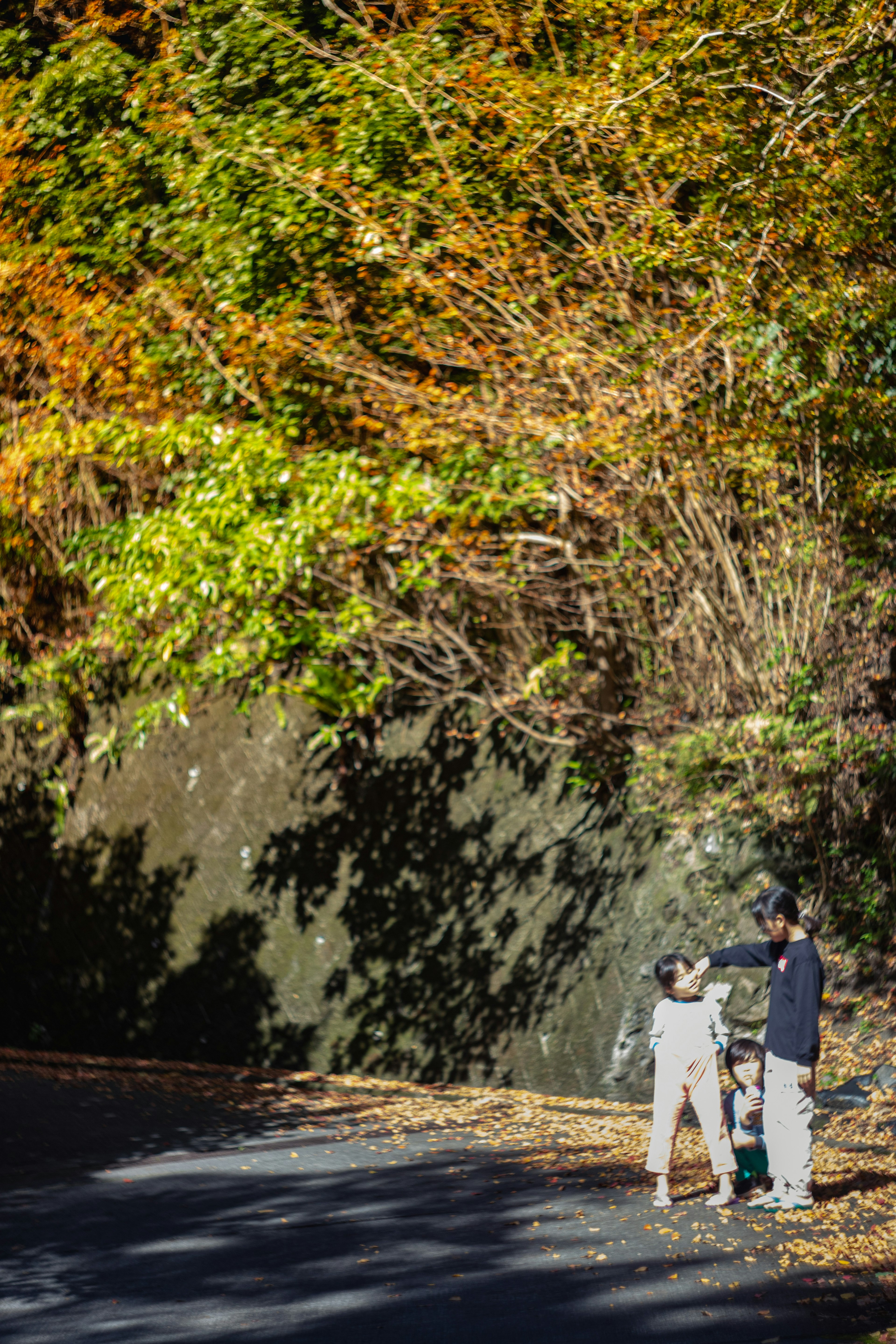 Ein Kind und ein Erwachsener spielen in einer herbstlichen Landschaft