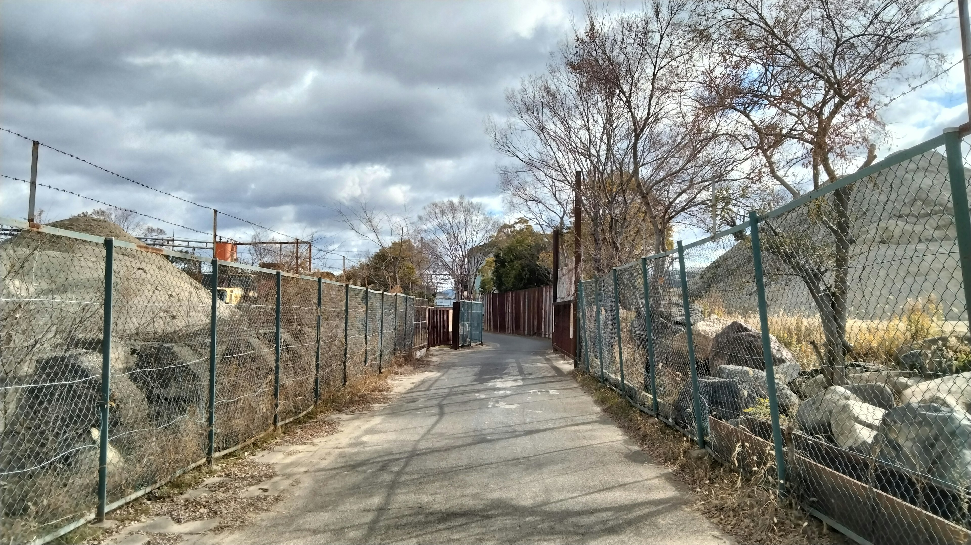 Un camino desolado flanqueado por una cerca de alambre y árboles desnudos