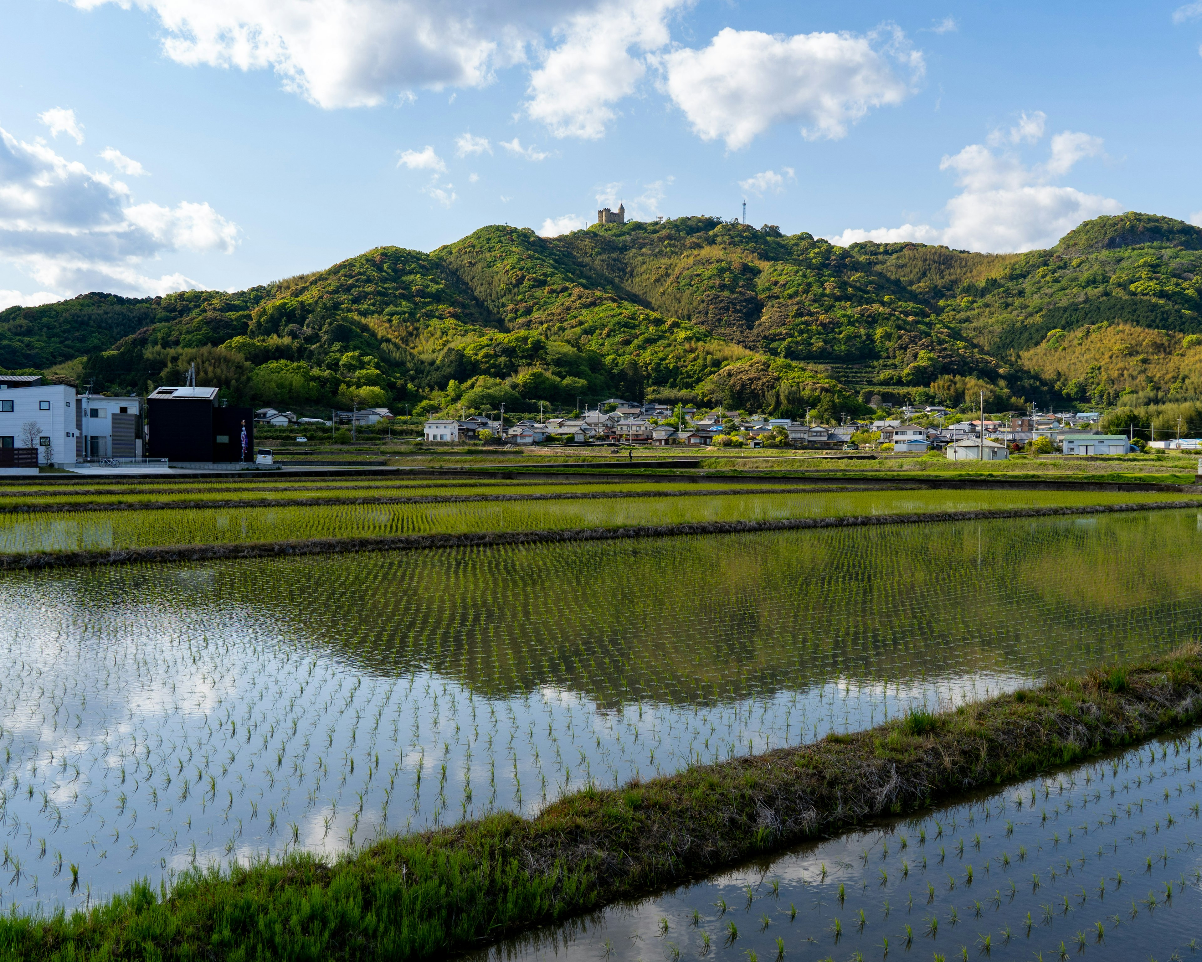 ทิวทัศน์ที่สวยงามของนาข้าวและภูเขาในชนบทของญี่ปุ่น