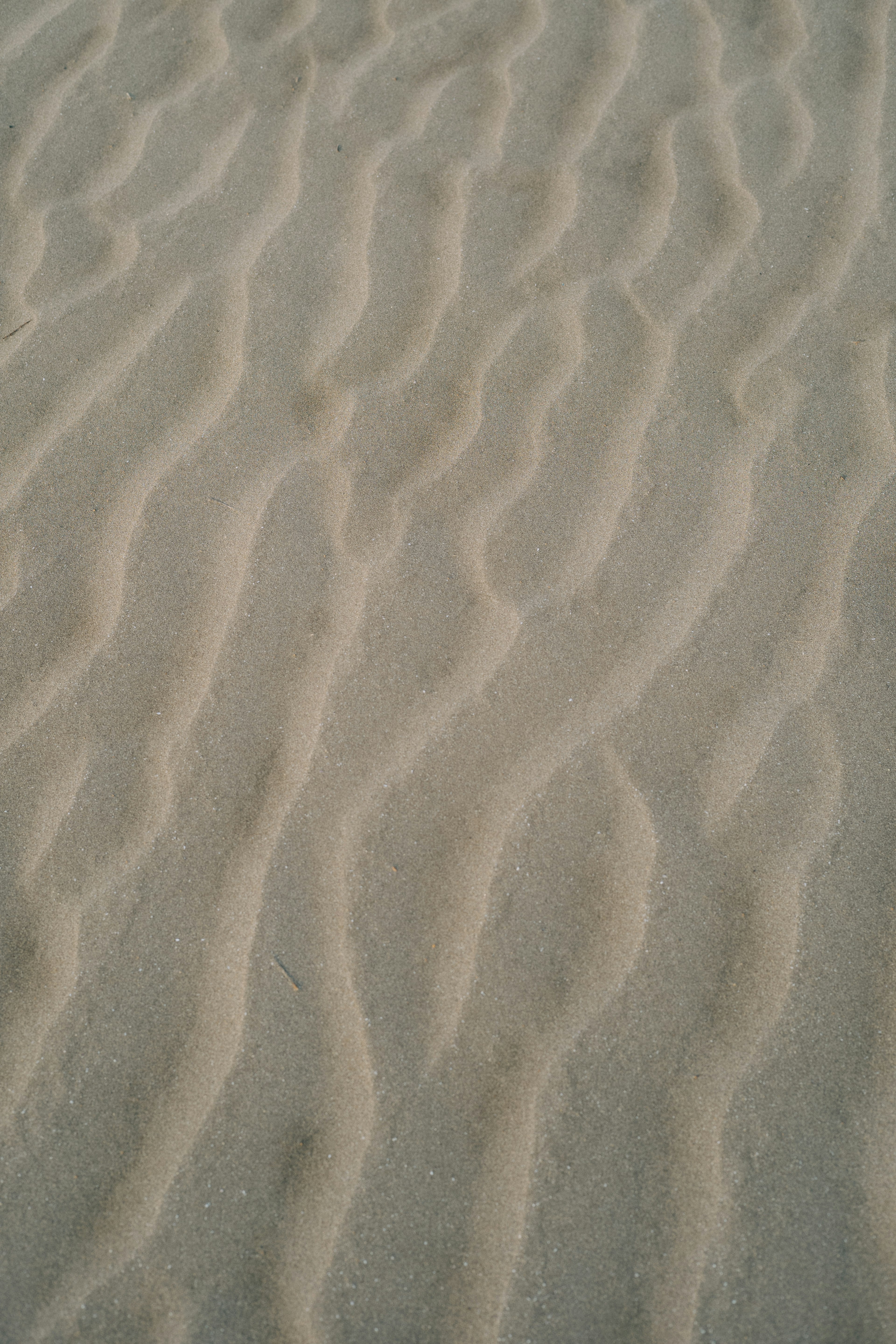 Image présentant des motifs texturés de vagues de sable