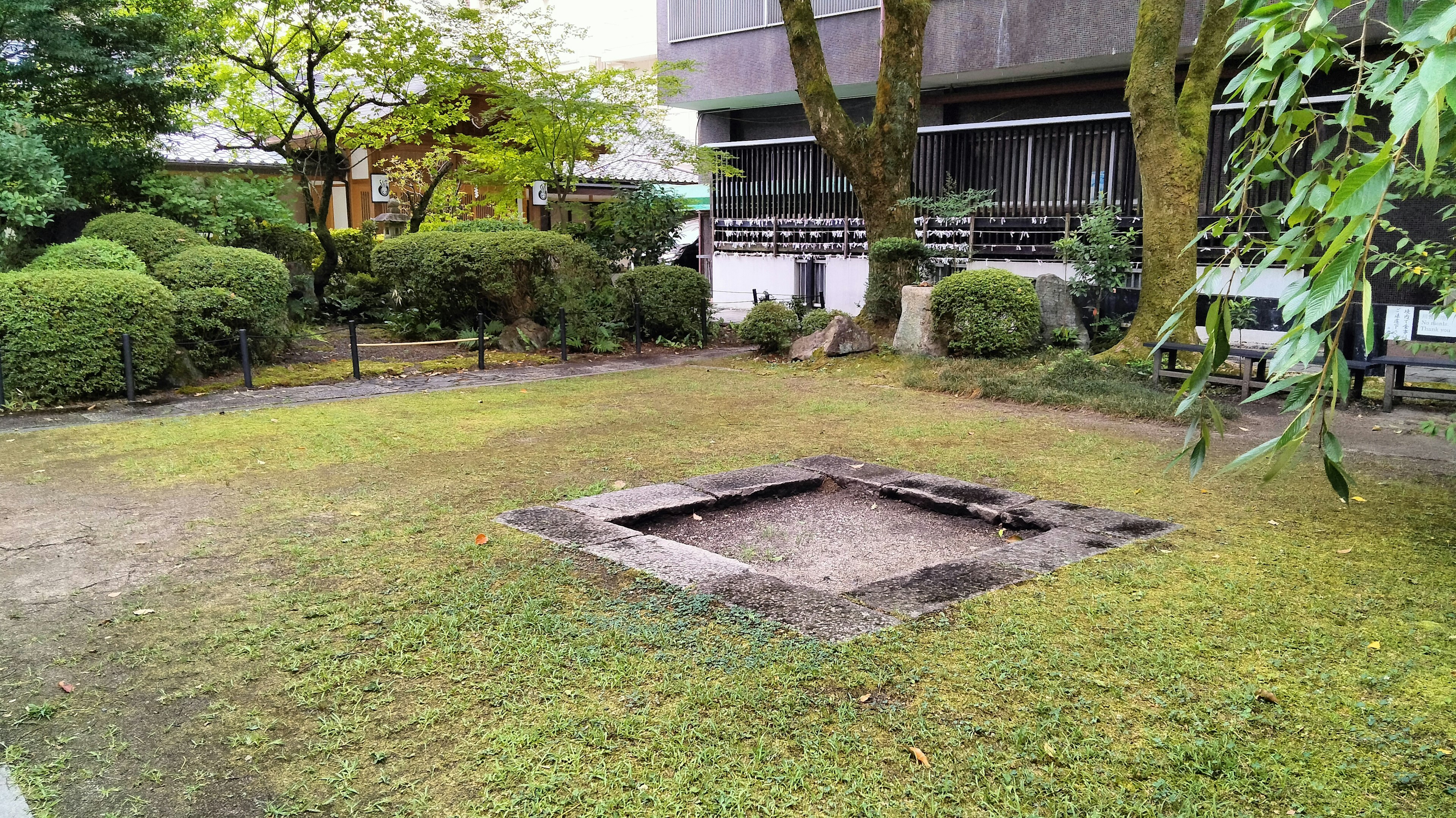 Square pit in the center of a green garden surrounded by shrubs and trees