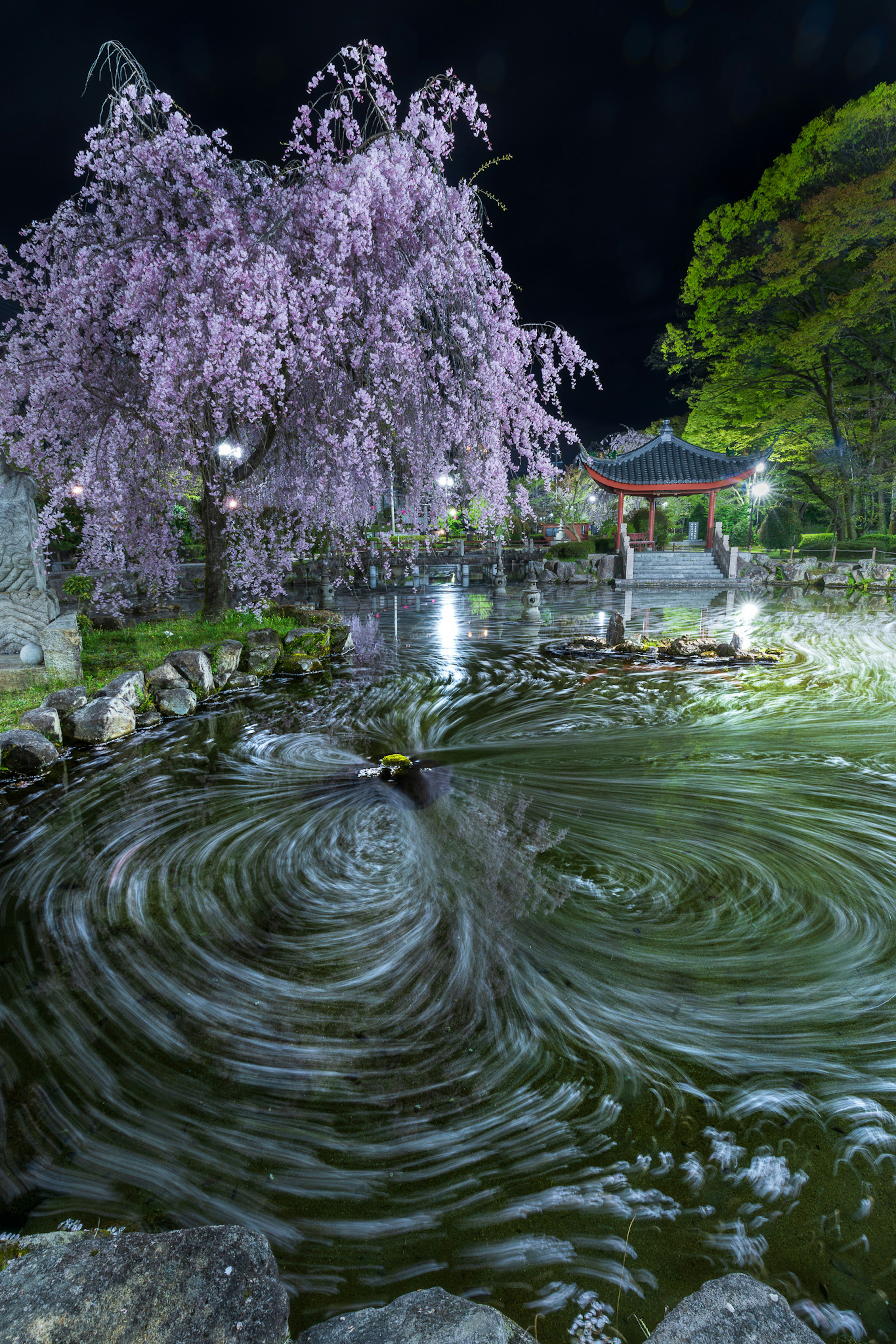 Pohon sakura di taman malam dengan air berputar di kolam