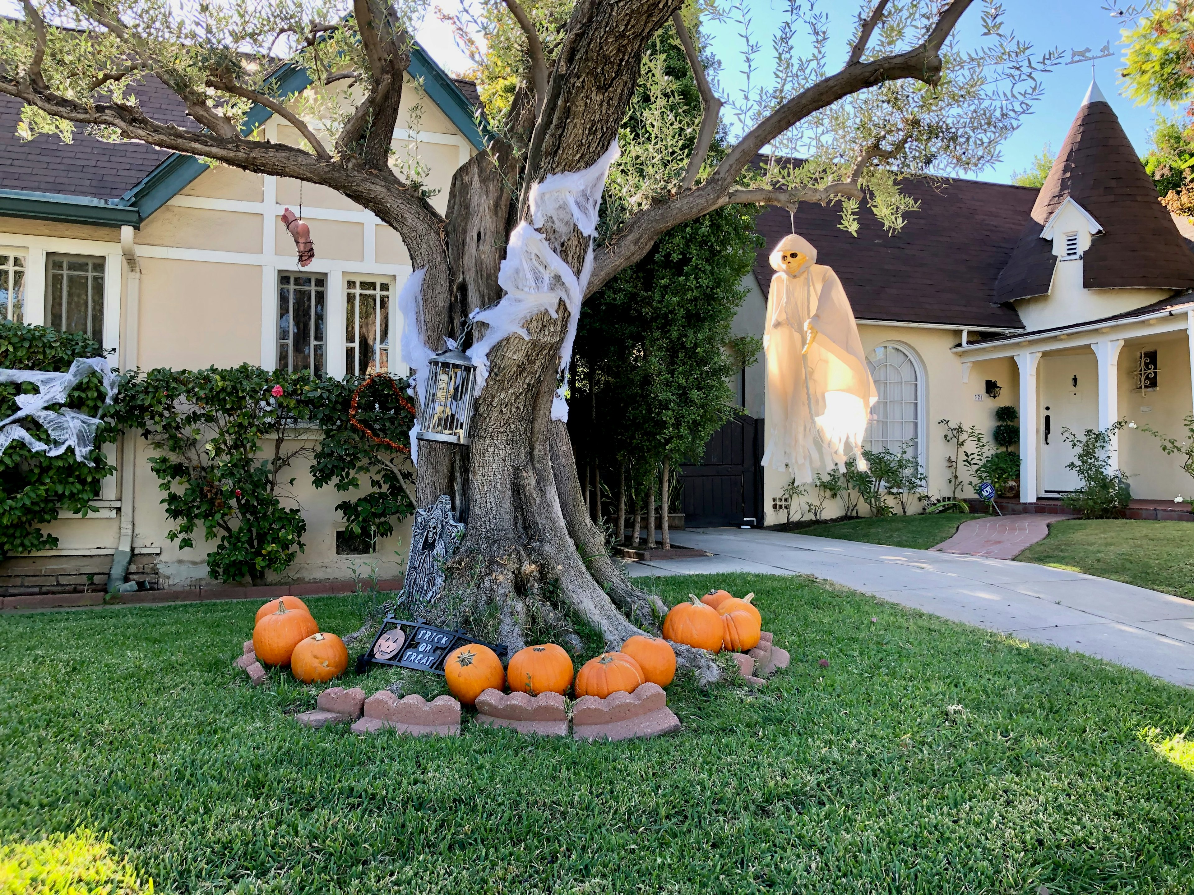 Decoraciones de Halloween con un gran árbol y calabazas naranjas frente a una casa