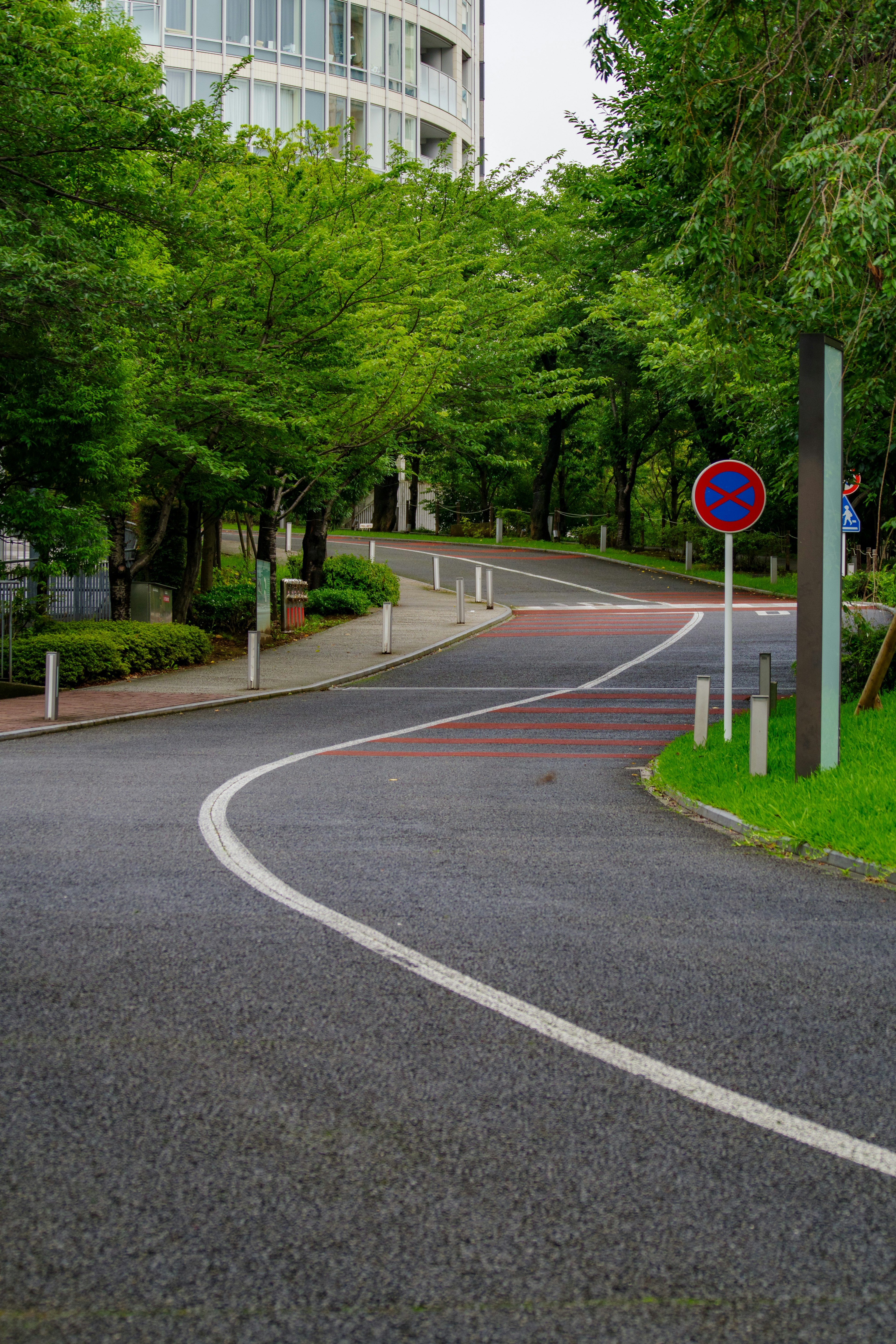 Kurvenreiche Straße umgeben von grünen Bäumen mit Verkehrsschildern