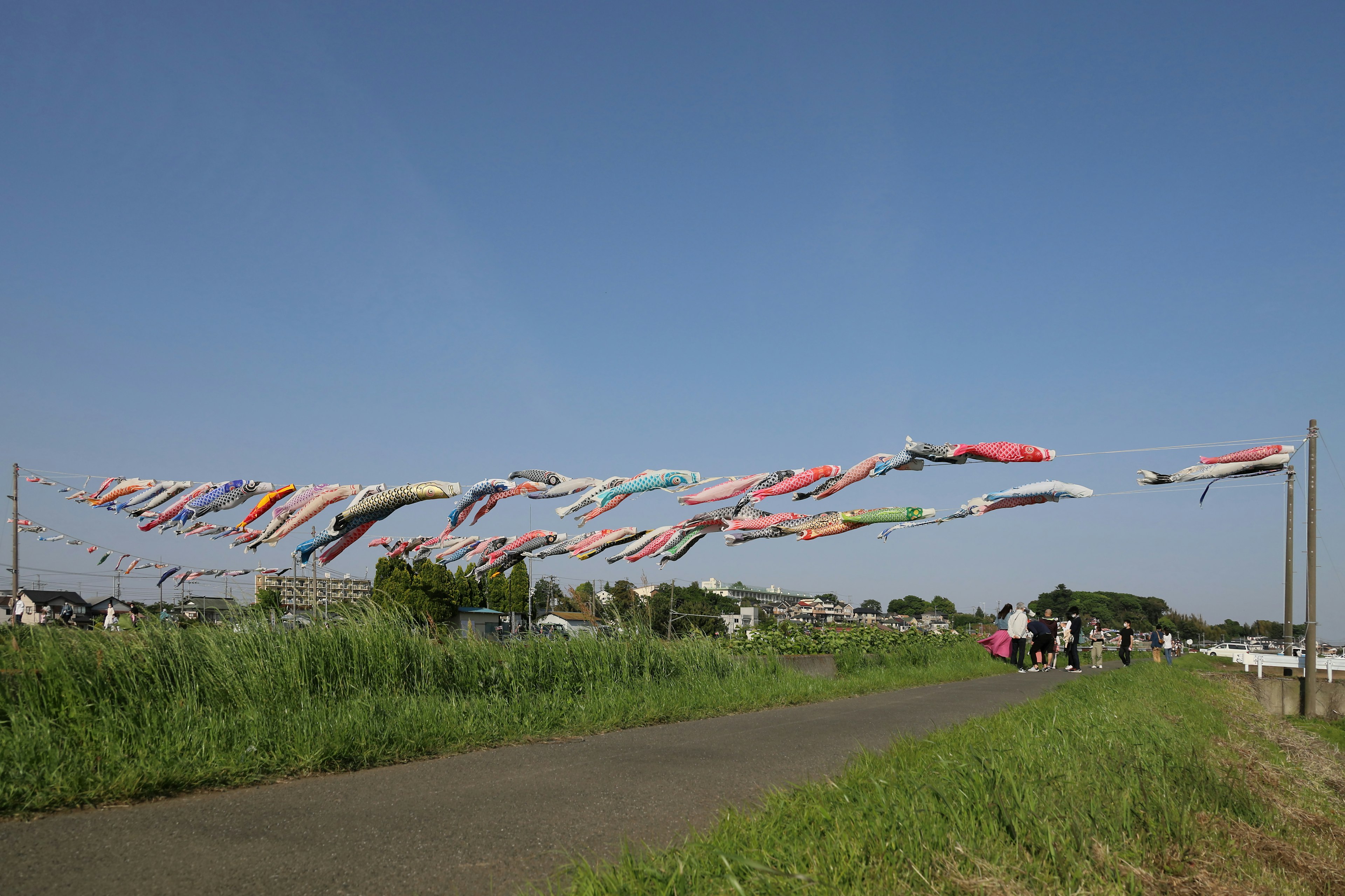 Bunte Fahnen wehen im Wind unter einem blauen Himmel