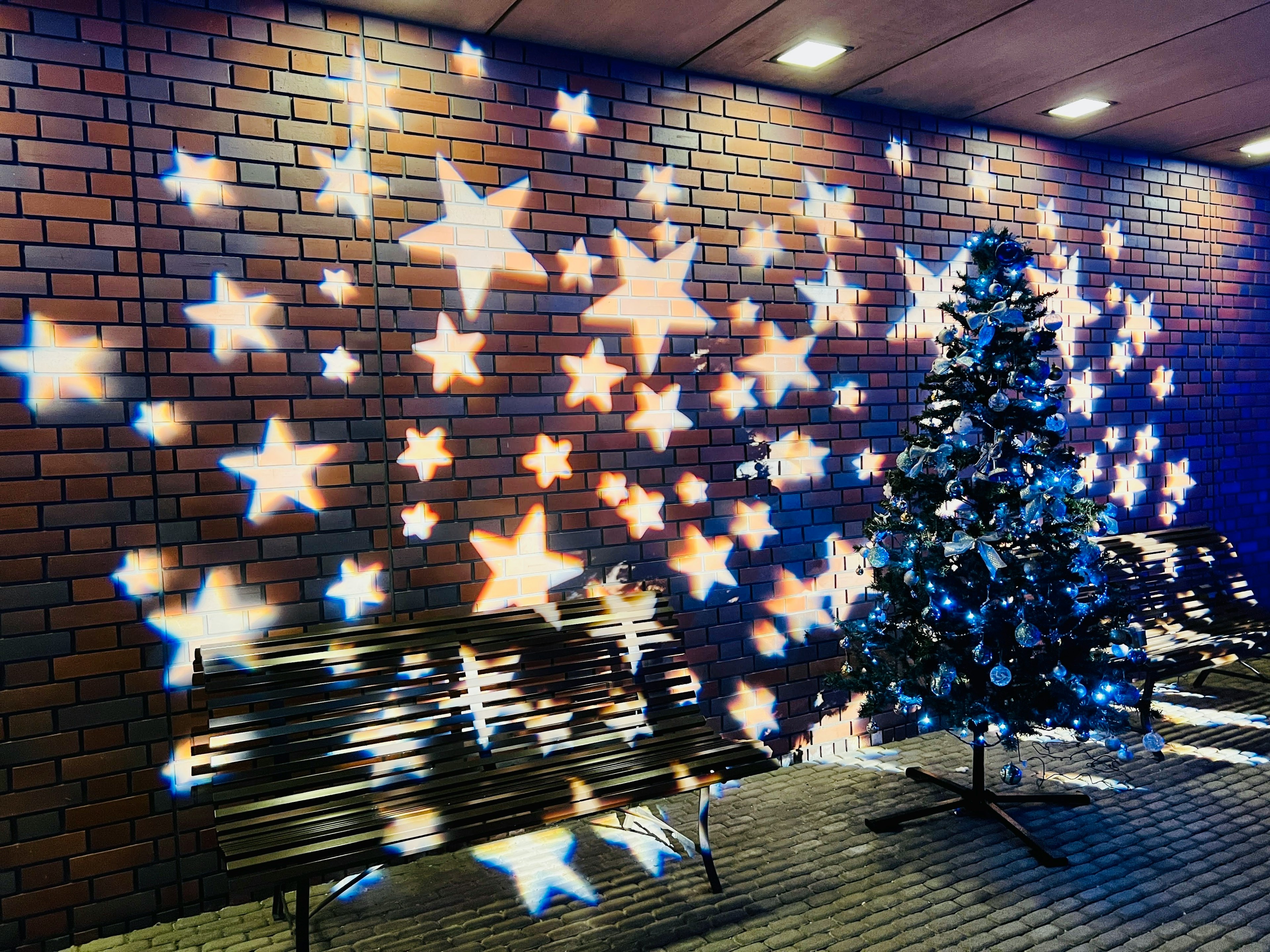 Scène nocturne d'un espace extérieur avec un mur étoilé et un sapin de Noël