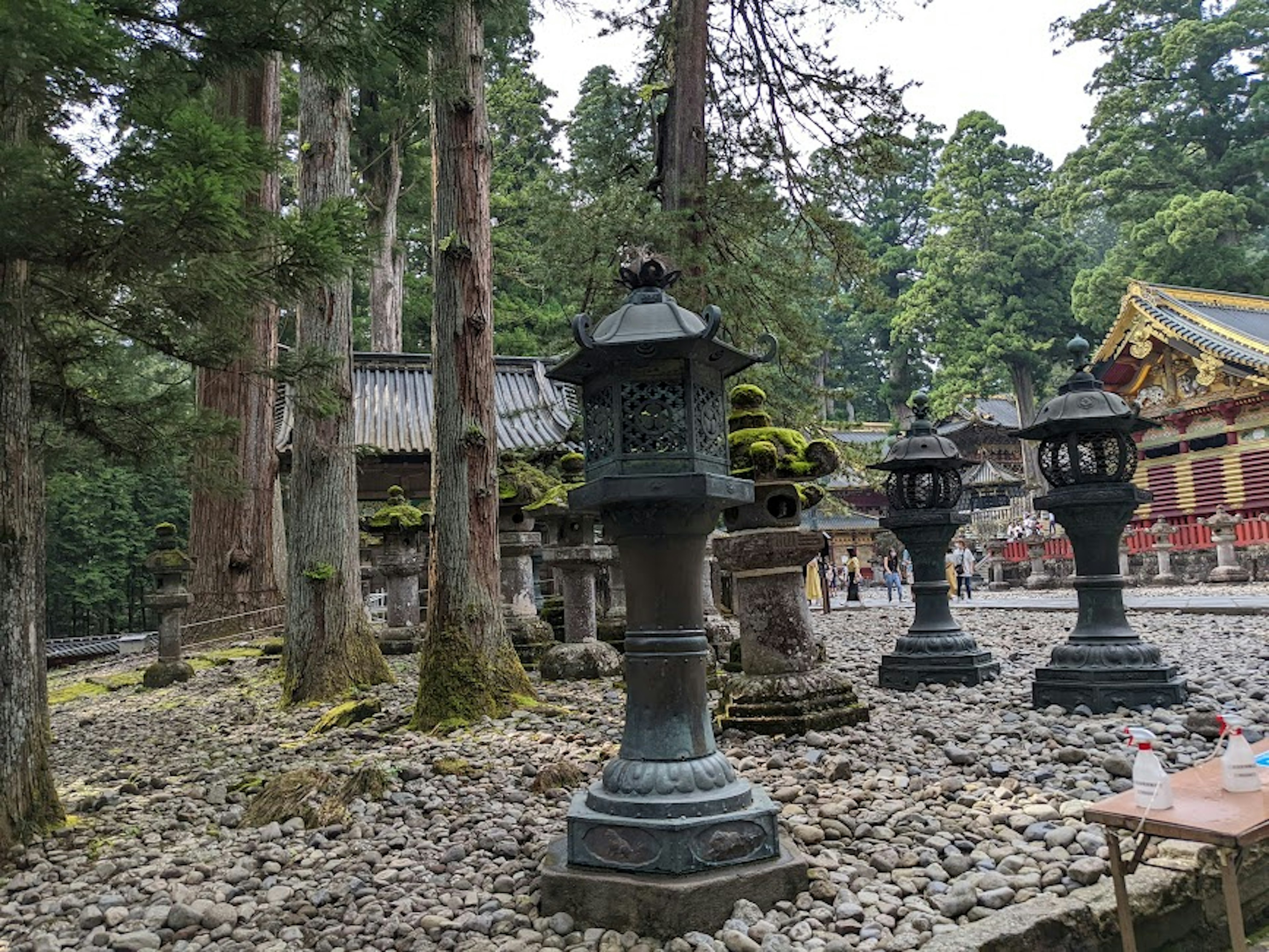 Serene shrine scene with moss-covered stone lanterns