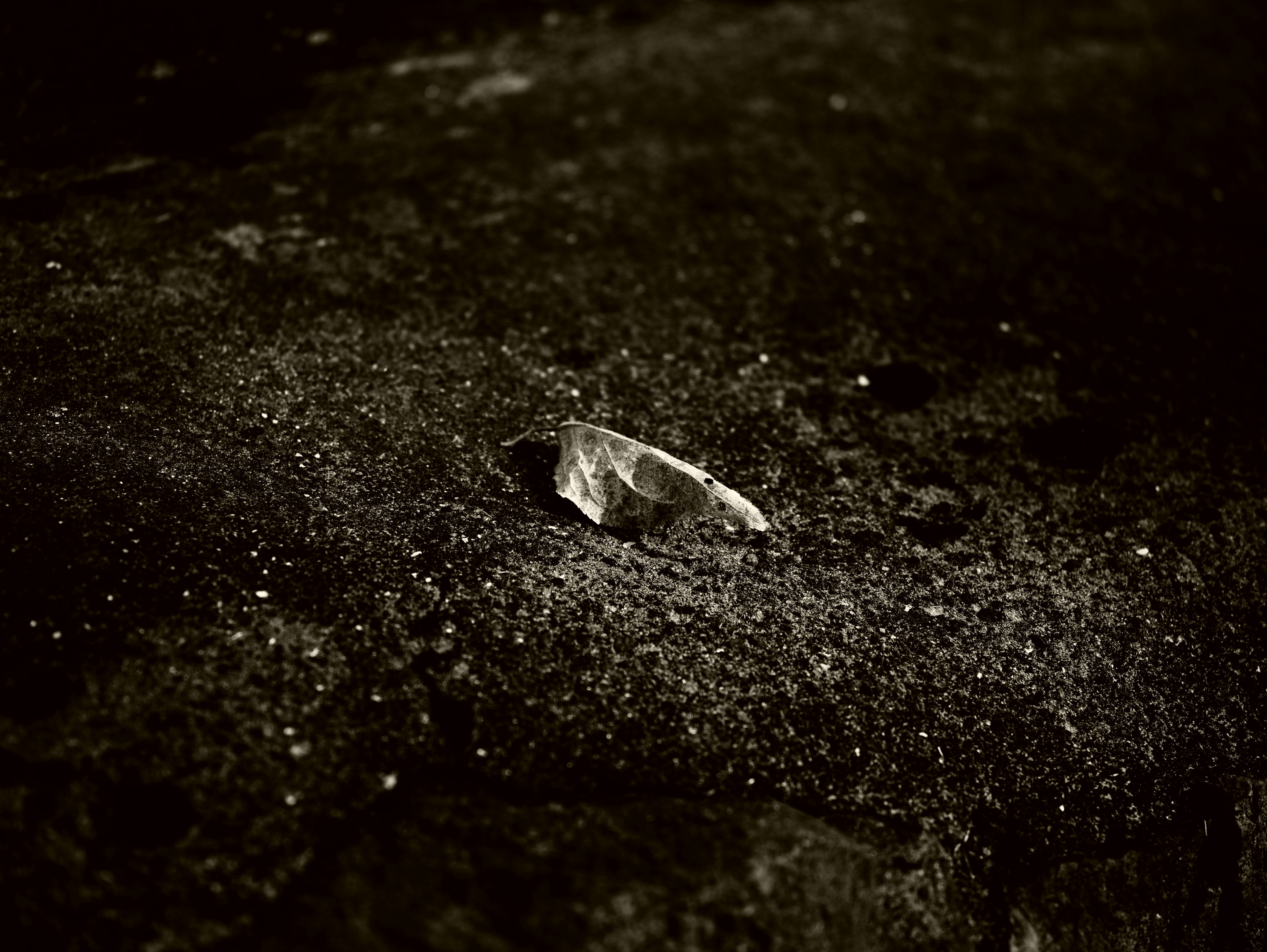 A small stone placed on a dark surface