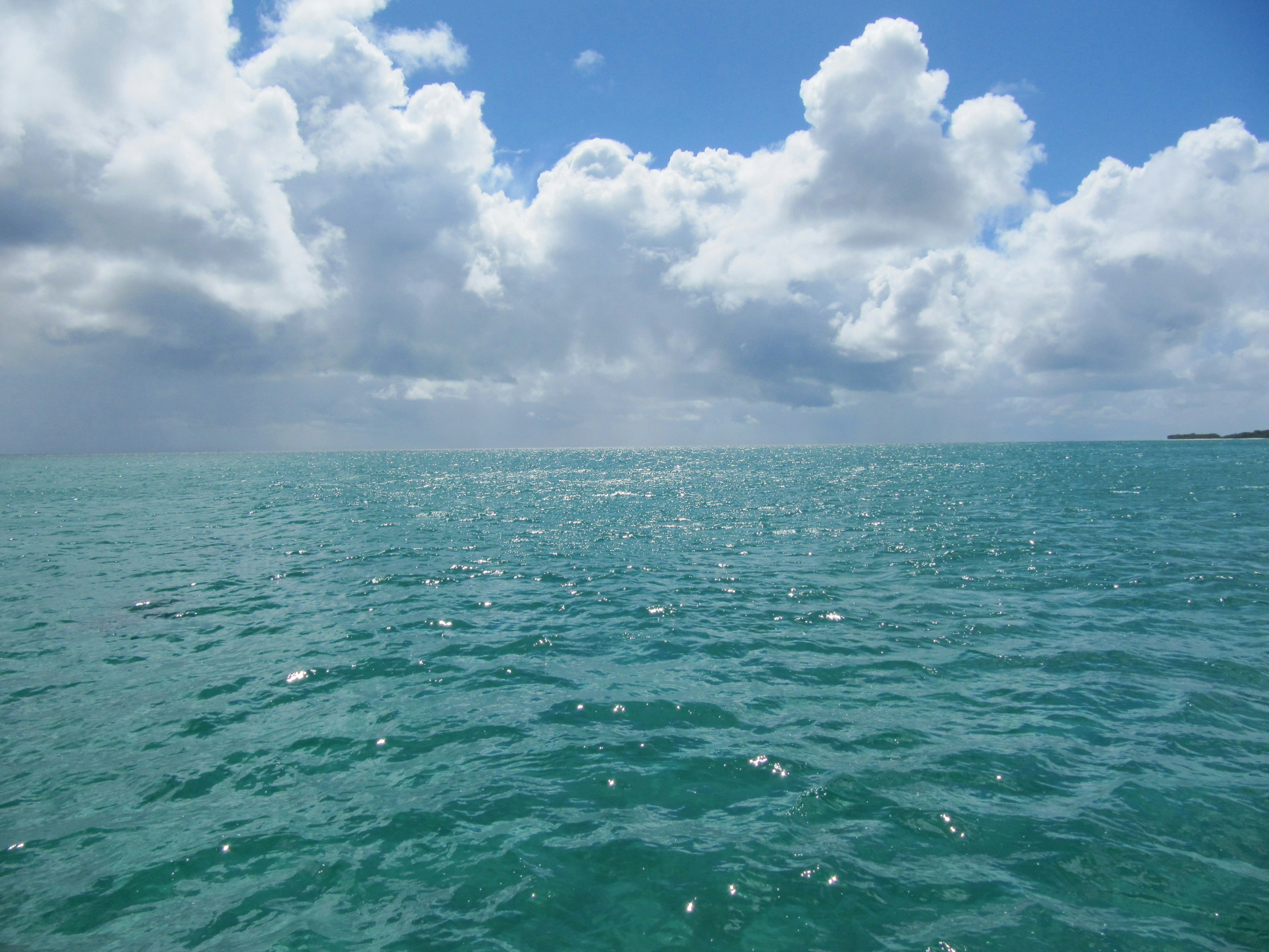 Vaste océan bleu sous un ciel lumineux avec des nuages blancs duveteux