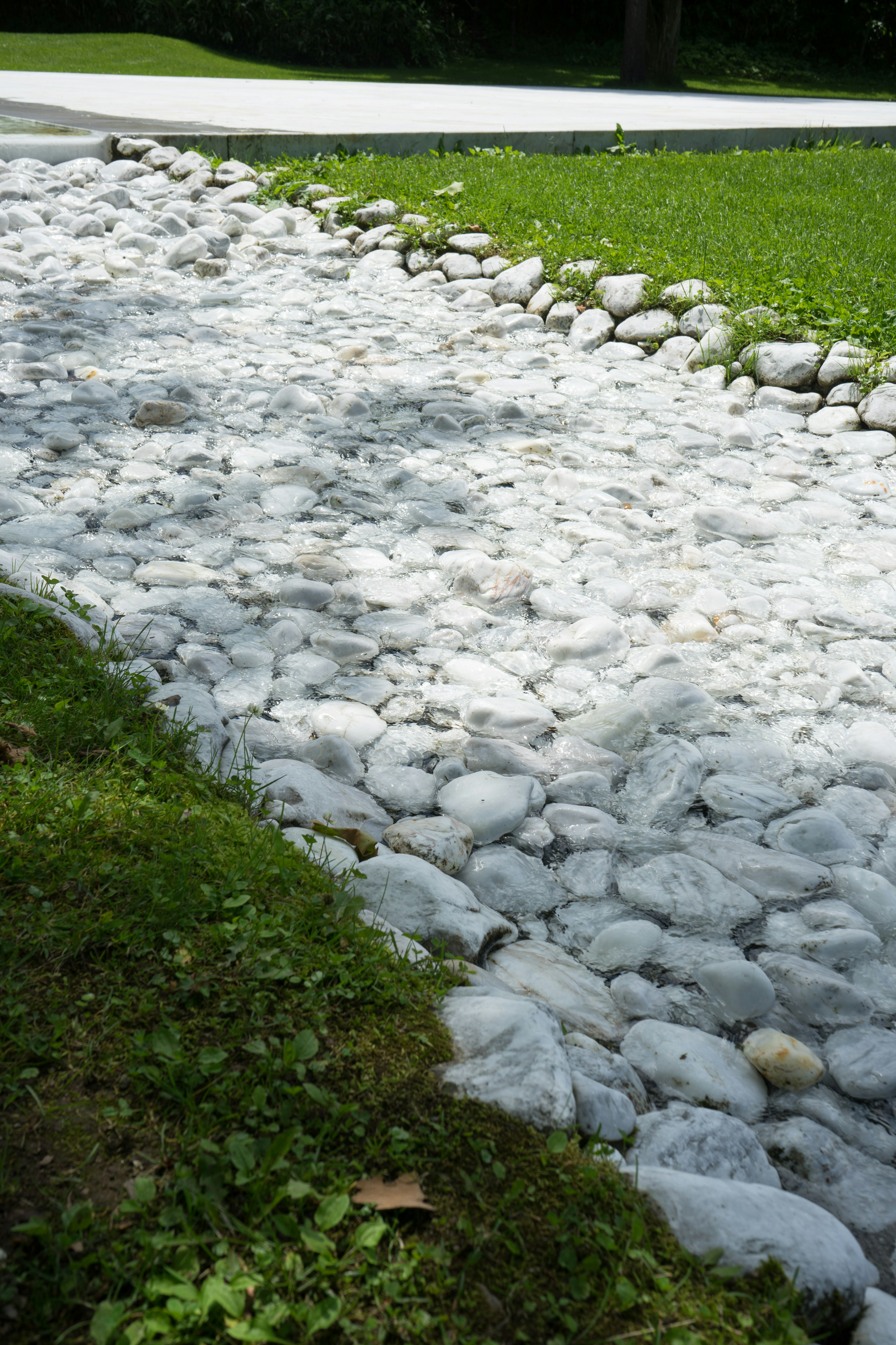 Jalan setapak dari batu putih dikelilingi rumput hijau subur