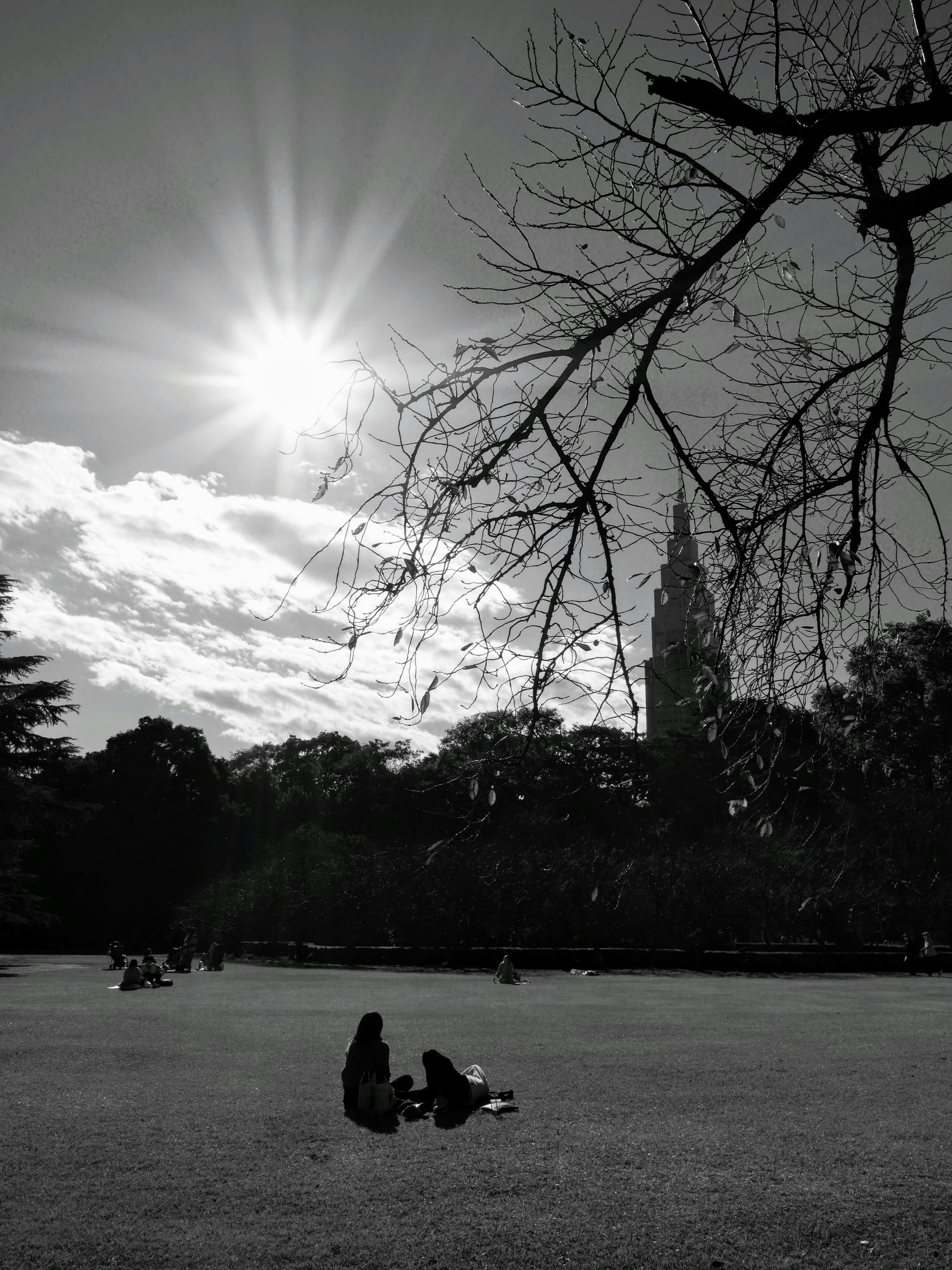 Foto en blanco y negro de personas relajándose en el césped del parque con una torre alta al fondo