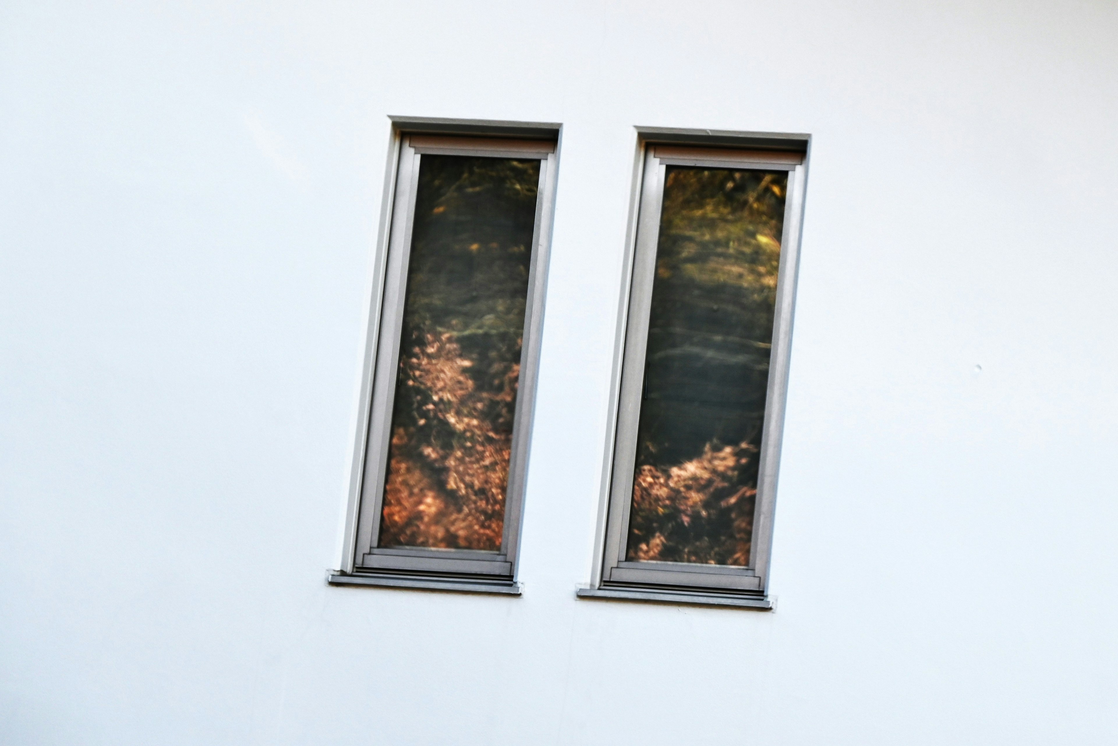 Deux fenêtres montées sur un mur blanc reflétant des feuilles orange à l'extérieur