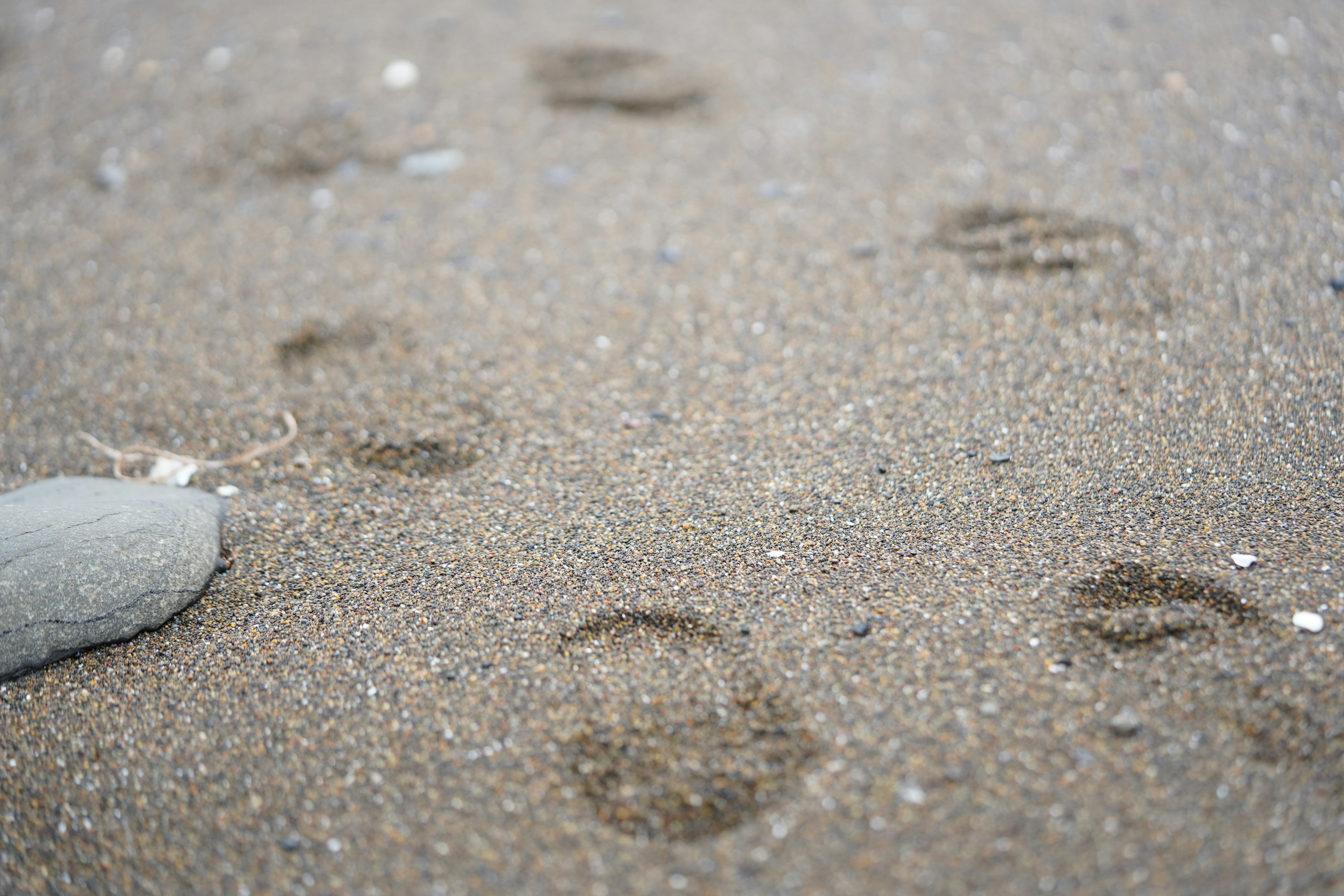 Fußabdrücke im Sand mit einem nahegelegenen Stein