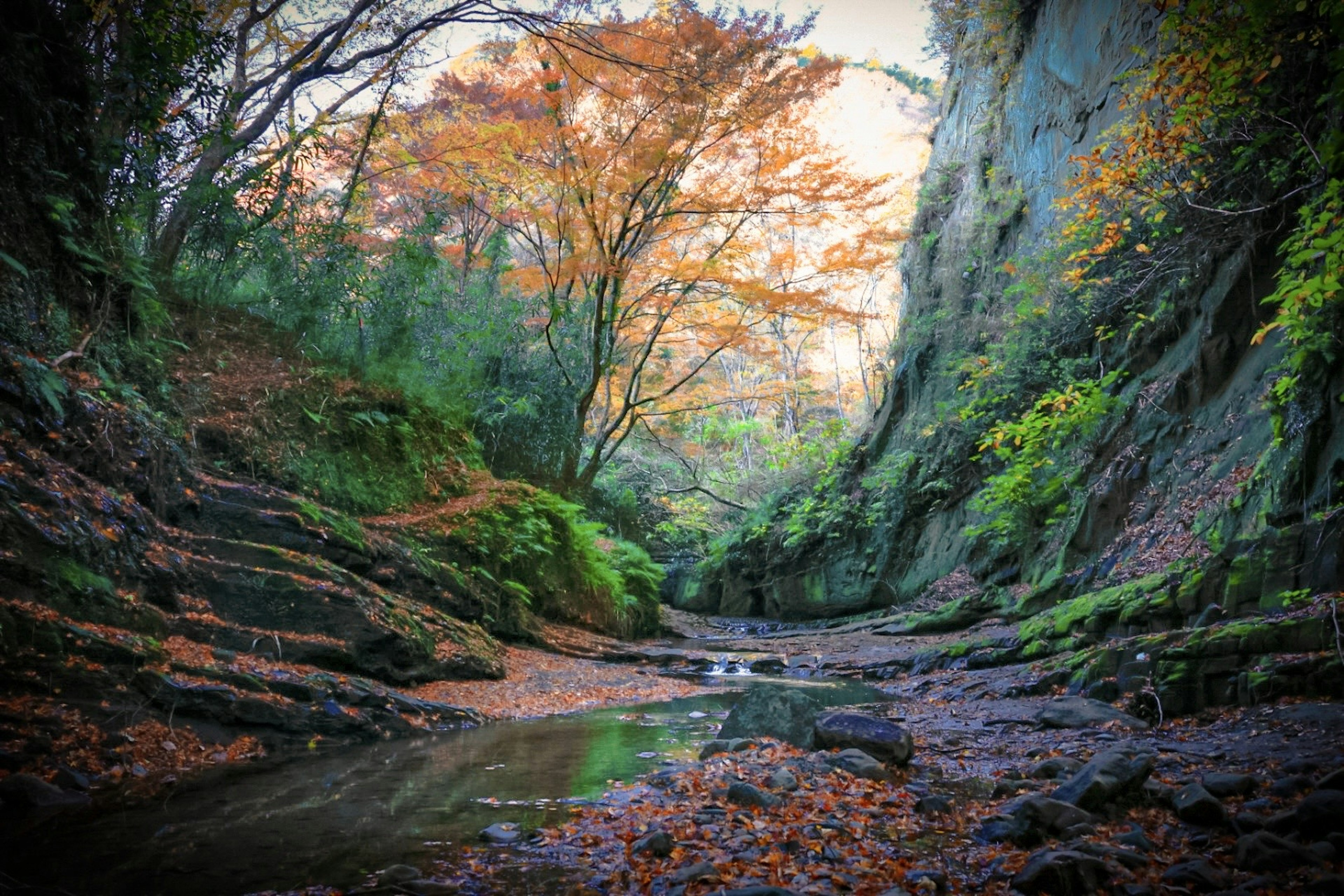 Eine ruhige Schluchtlandschaft umgeben von herbstlichem Laub