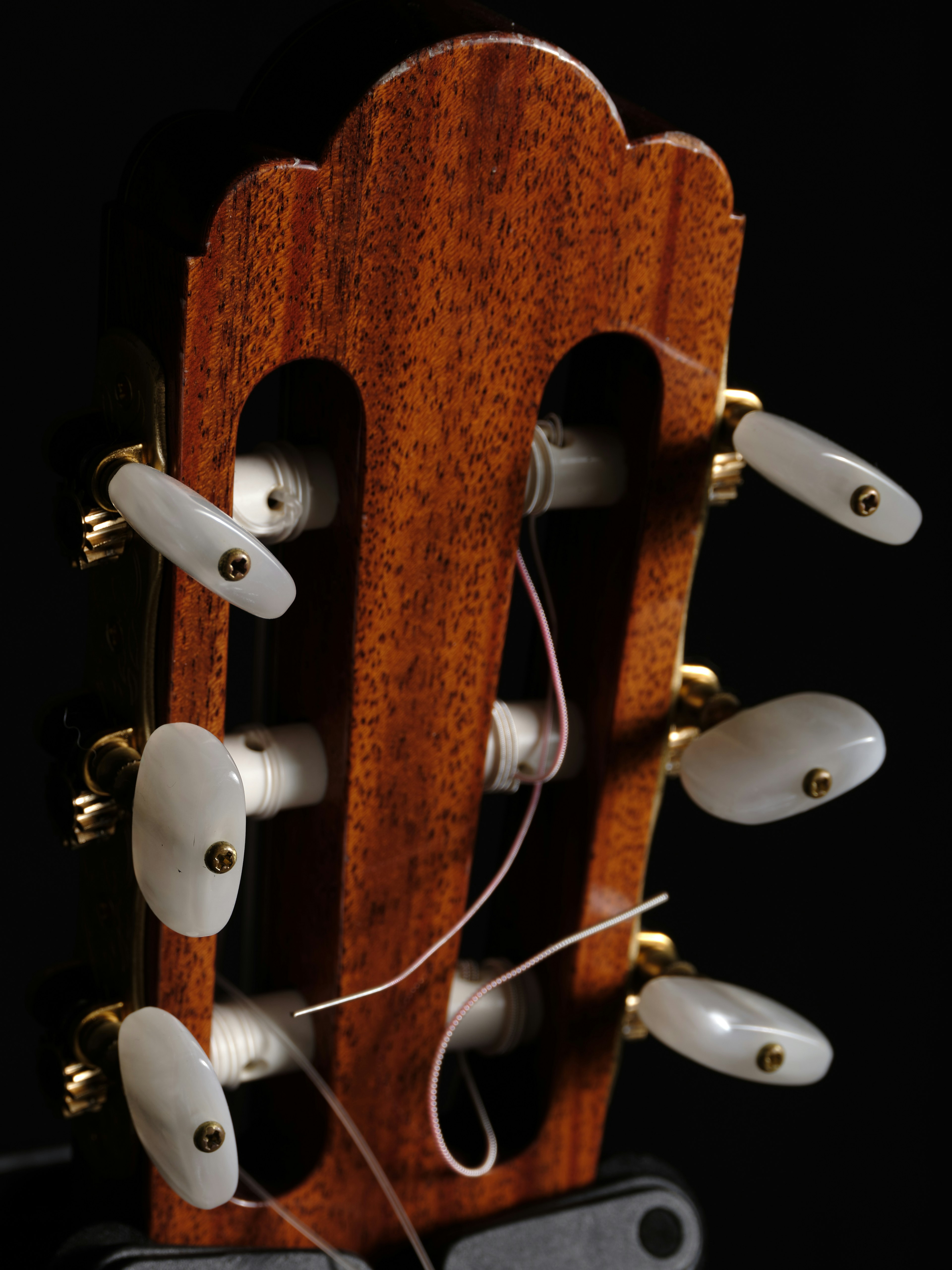 Close-up of a guitar headstock with rich brown wood and white tuning pegs