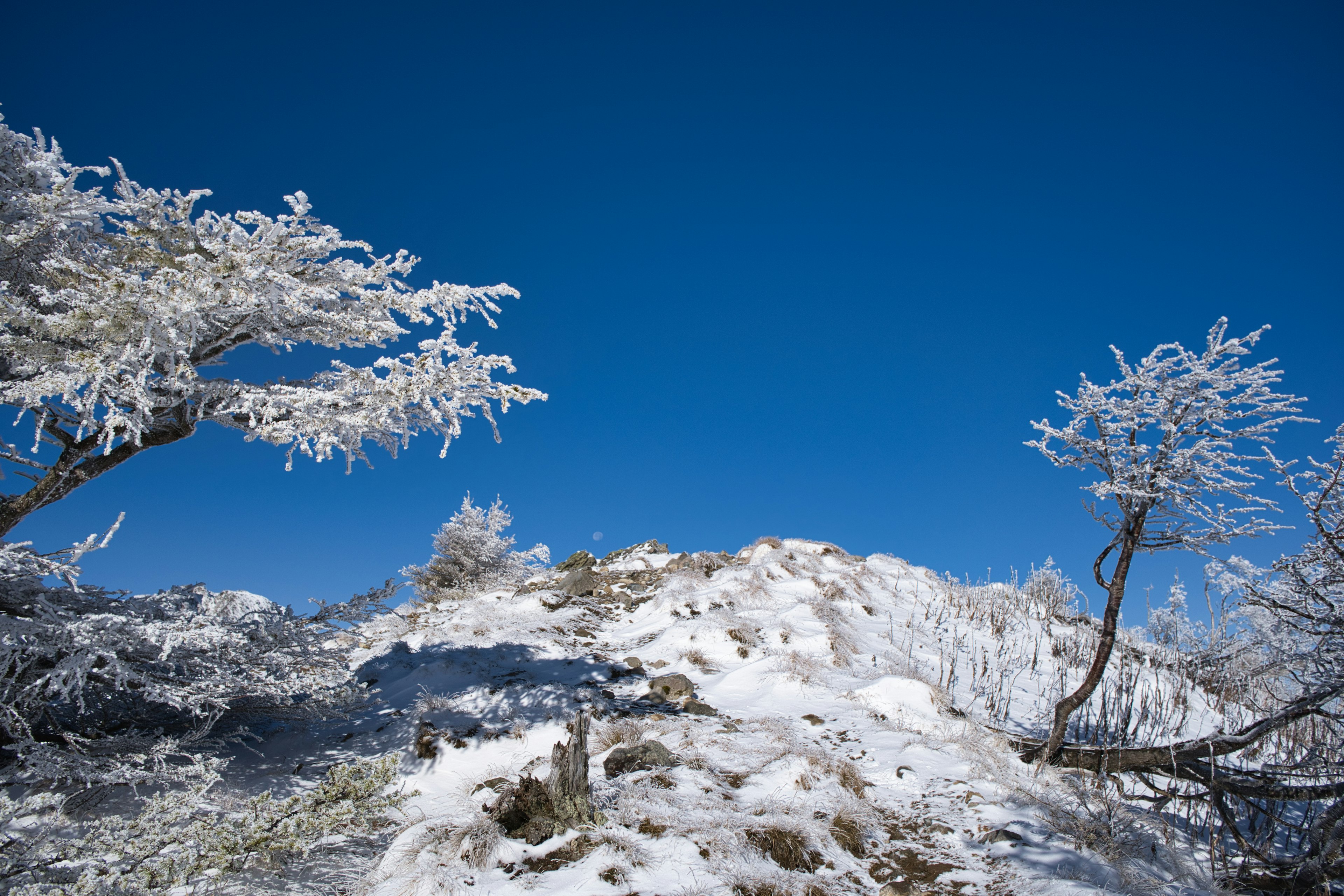 Paesaggio innevato con alberi ghiacciati e cielo blu chiaro