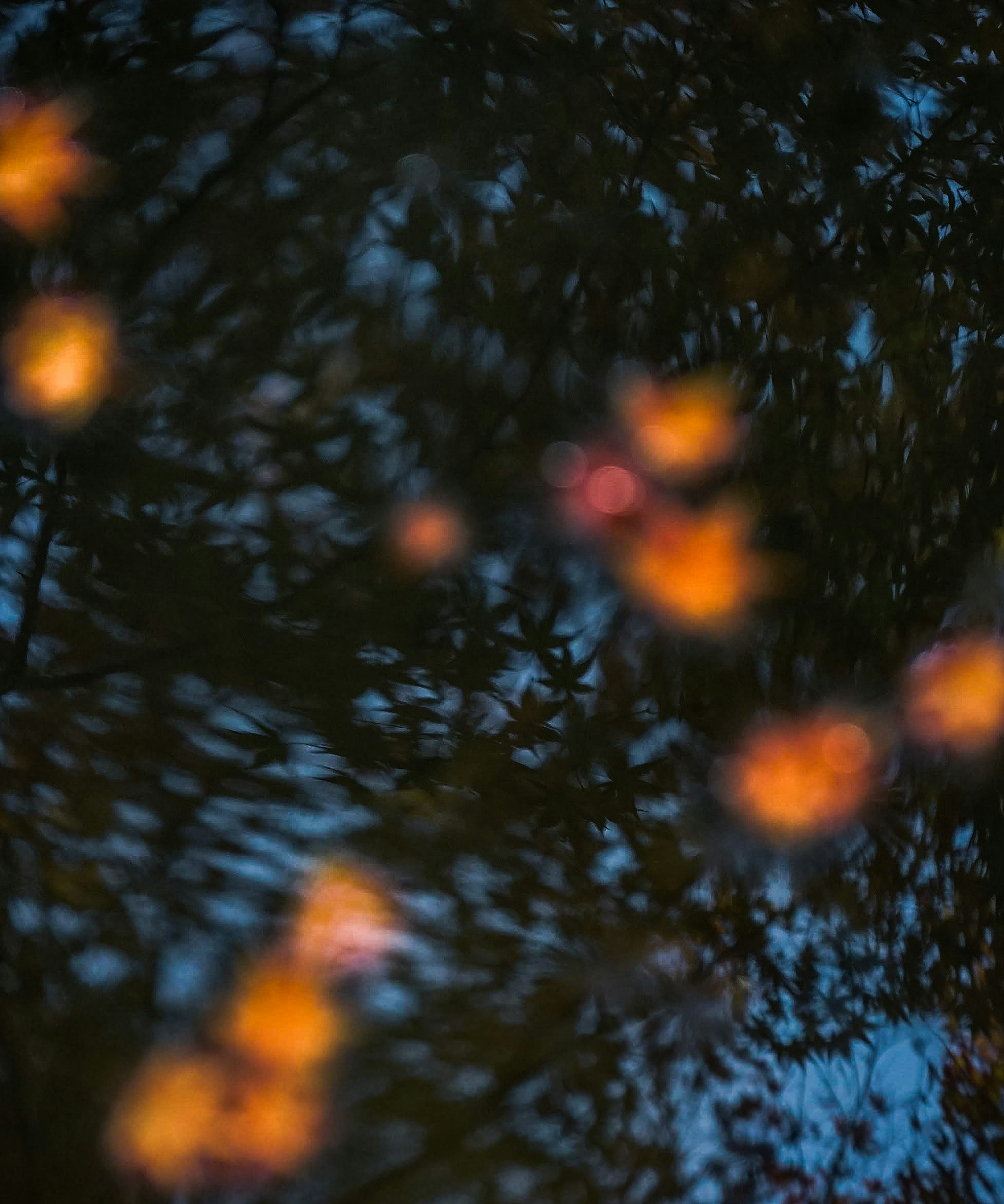 Reflejo borroso de flores naranjas en el agua con fondo azul