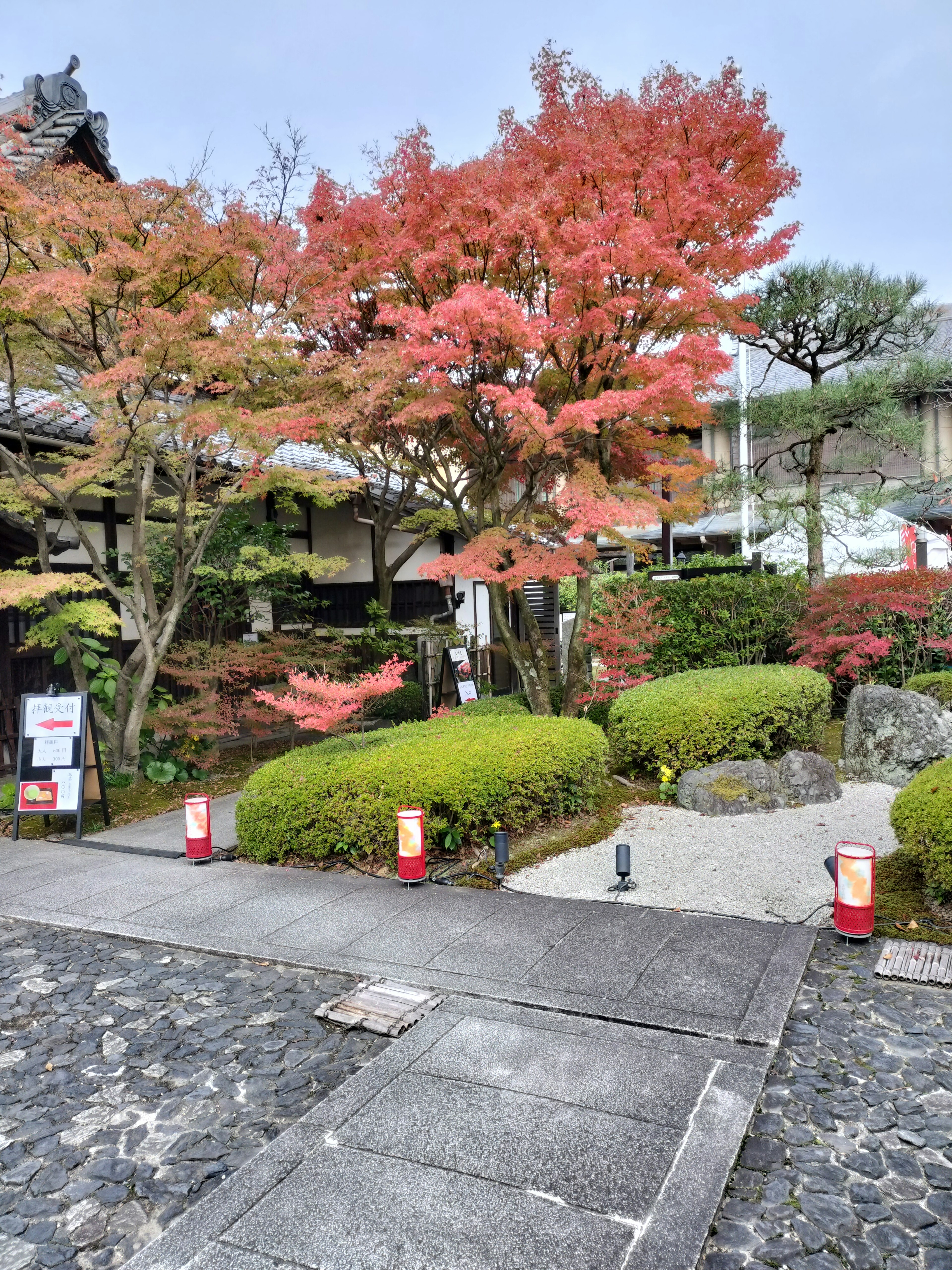 Japanese garden scene featuring vibrant autumn foliage and lush greenery