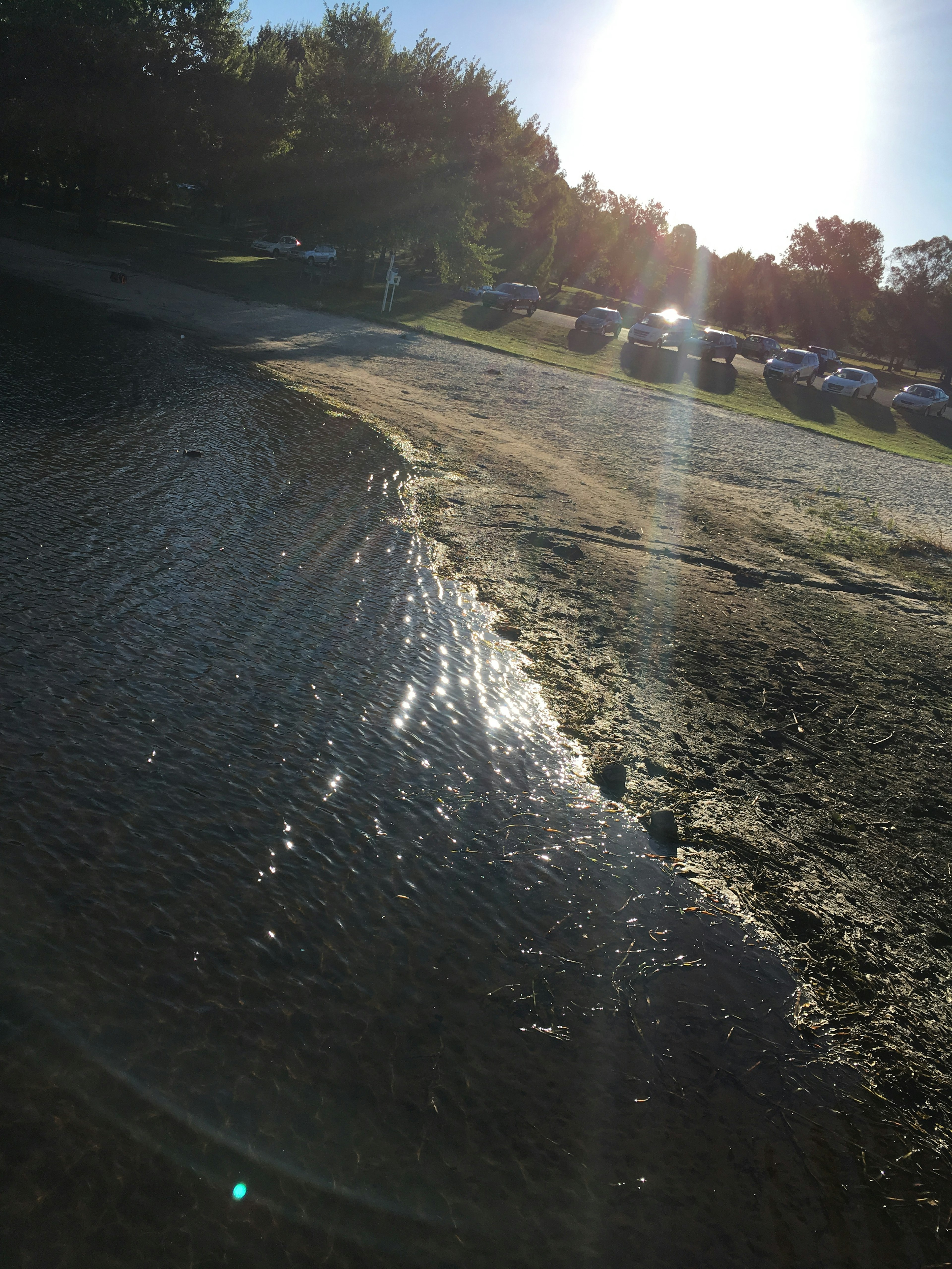 Sonnenlicht spiegelt sich am Wasserrand mit einem Blick auf einen Parkplatz