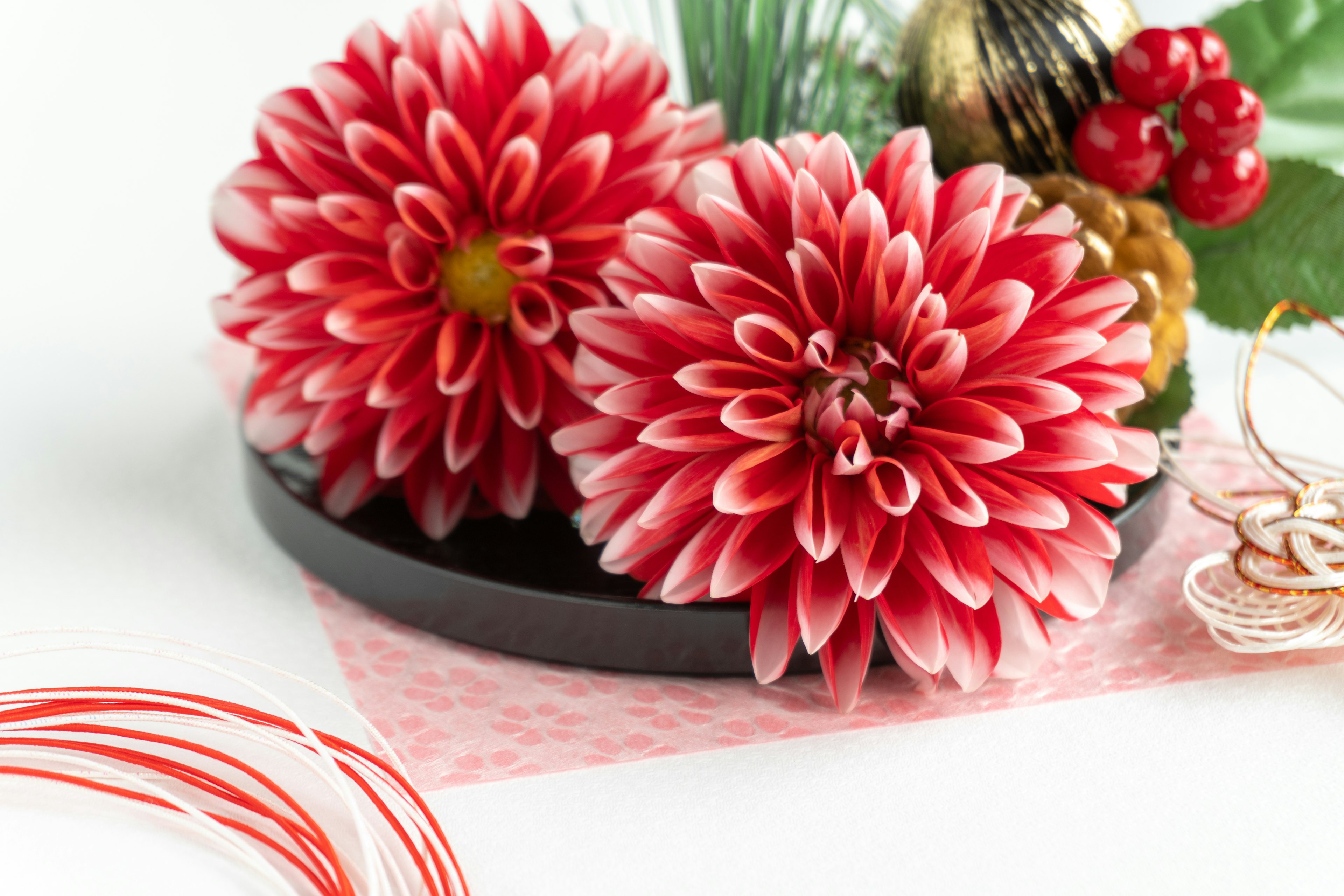 Arrangement magnifique avec des fleurs de dahlias rouges