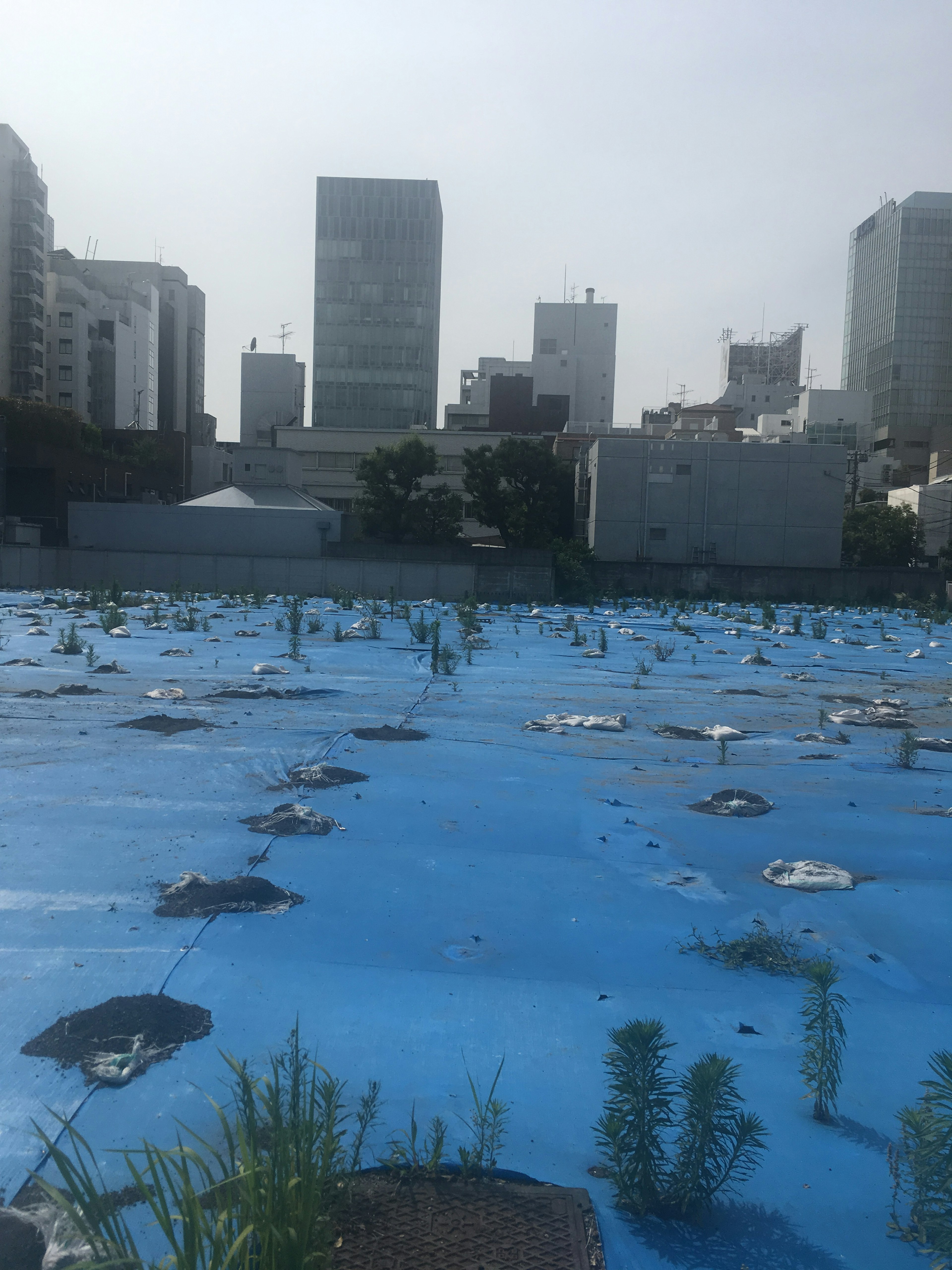 Paysage urbain avec une bâche bleue et des touffes d'herbe