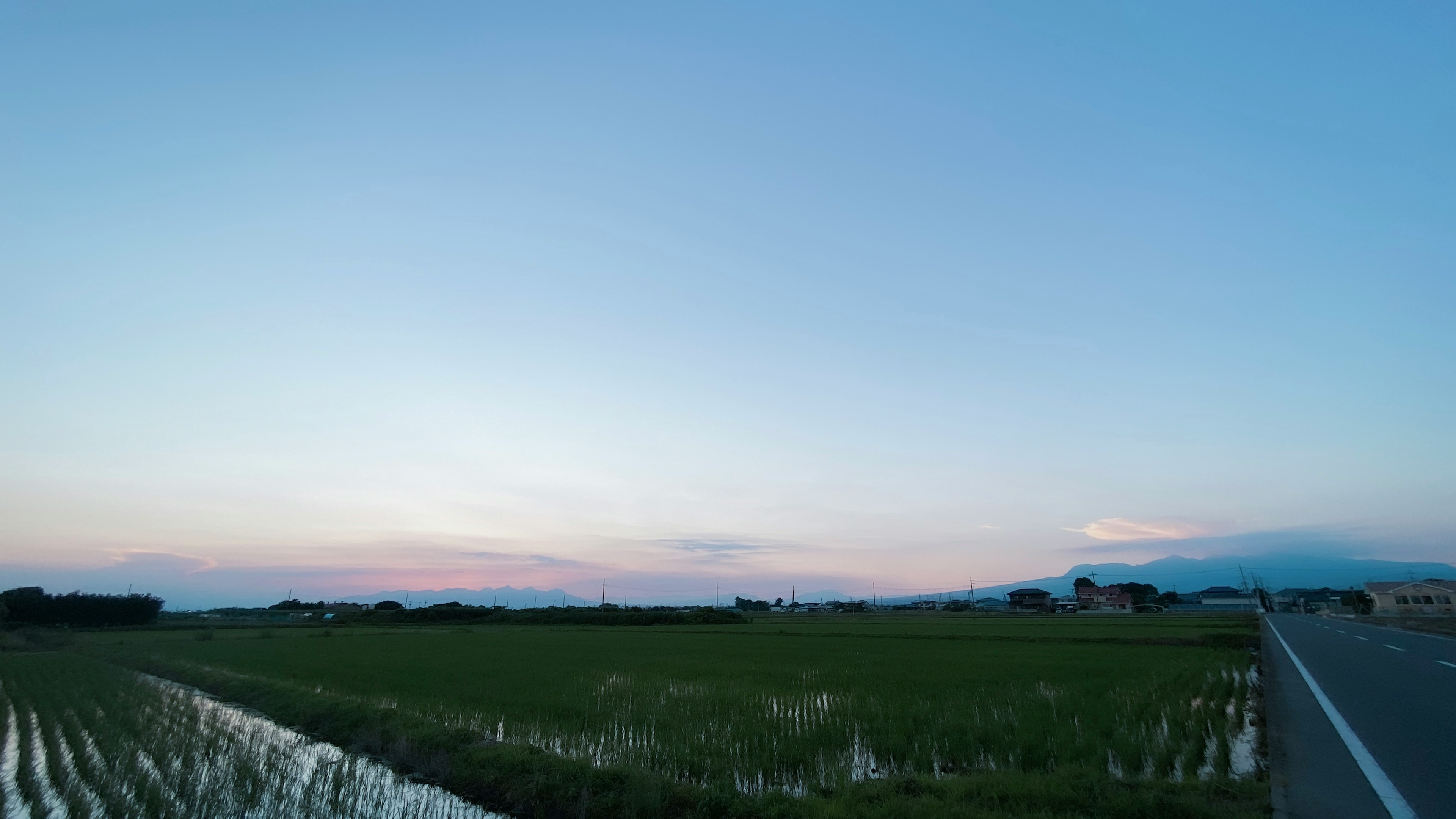 田んぼと青い空が広がる風景の画像