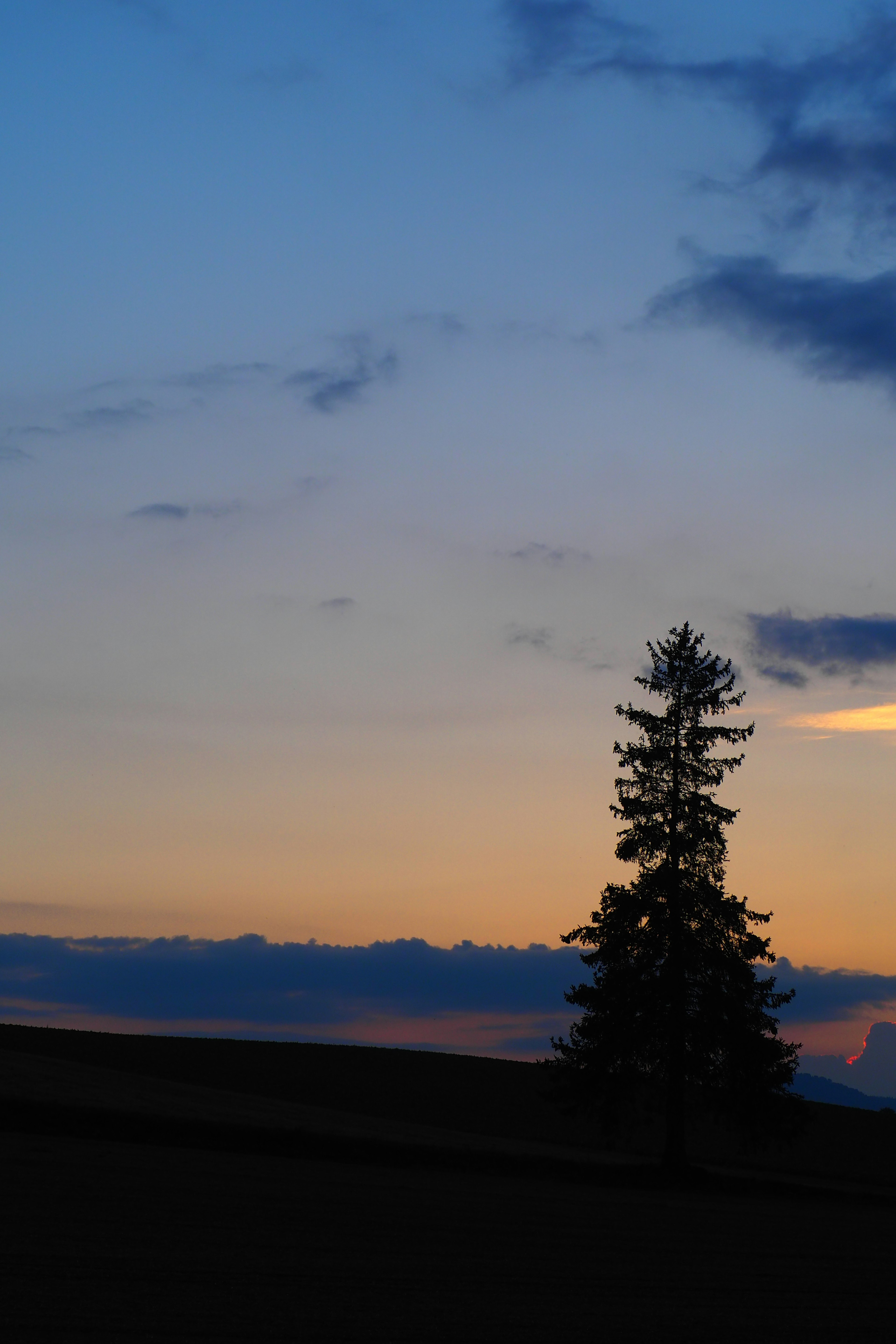 Ein einsamer Baum silhouettiert gegen einen Sonnenuntergangshimmel