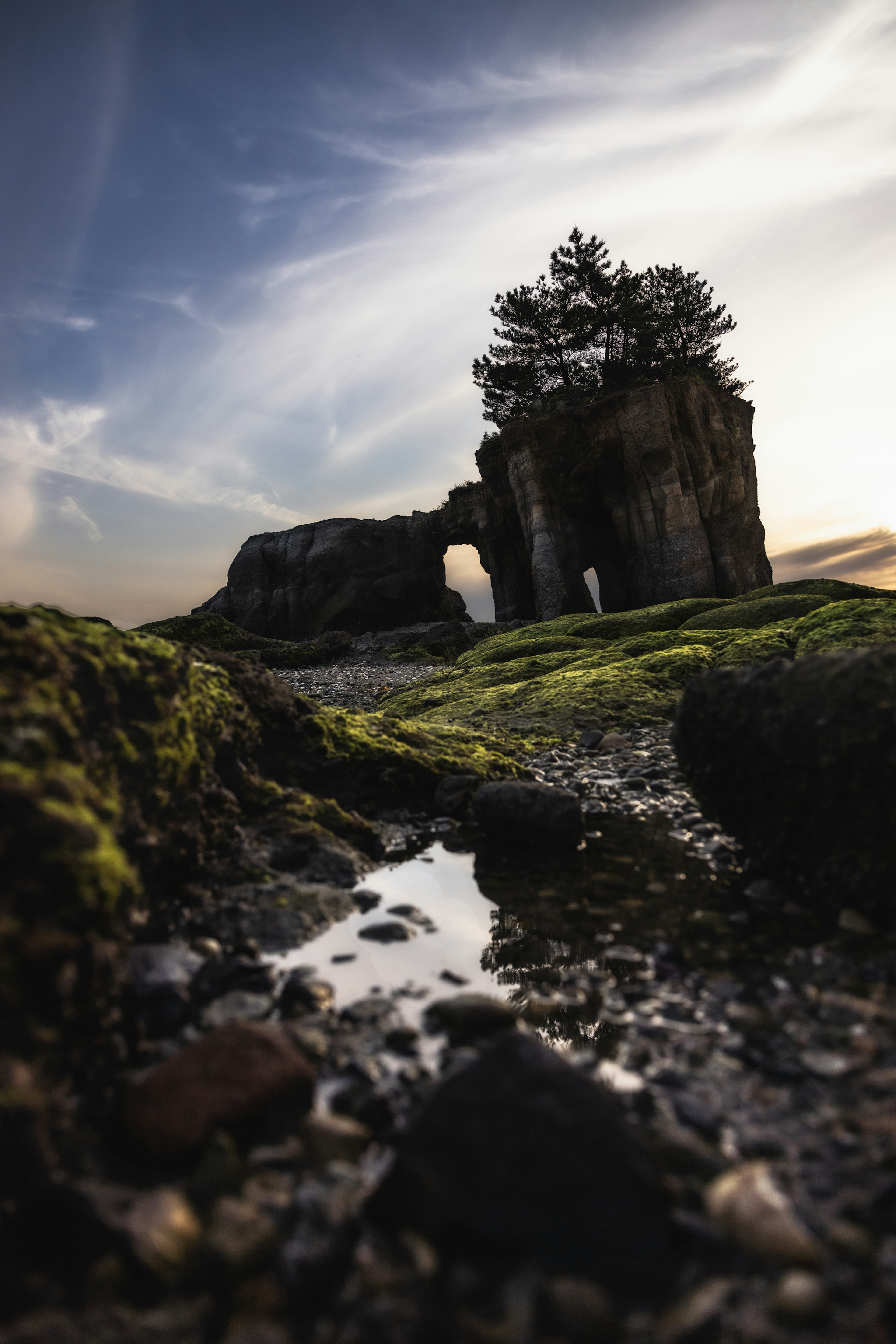 Malersiche Sicht auf Felsen mit einem Baum dazwischen Pfütze und moosige Steine Sonnenuntergangshimmel