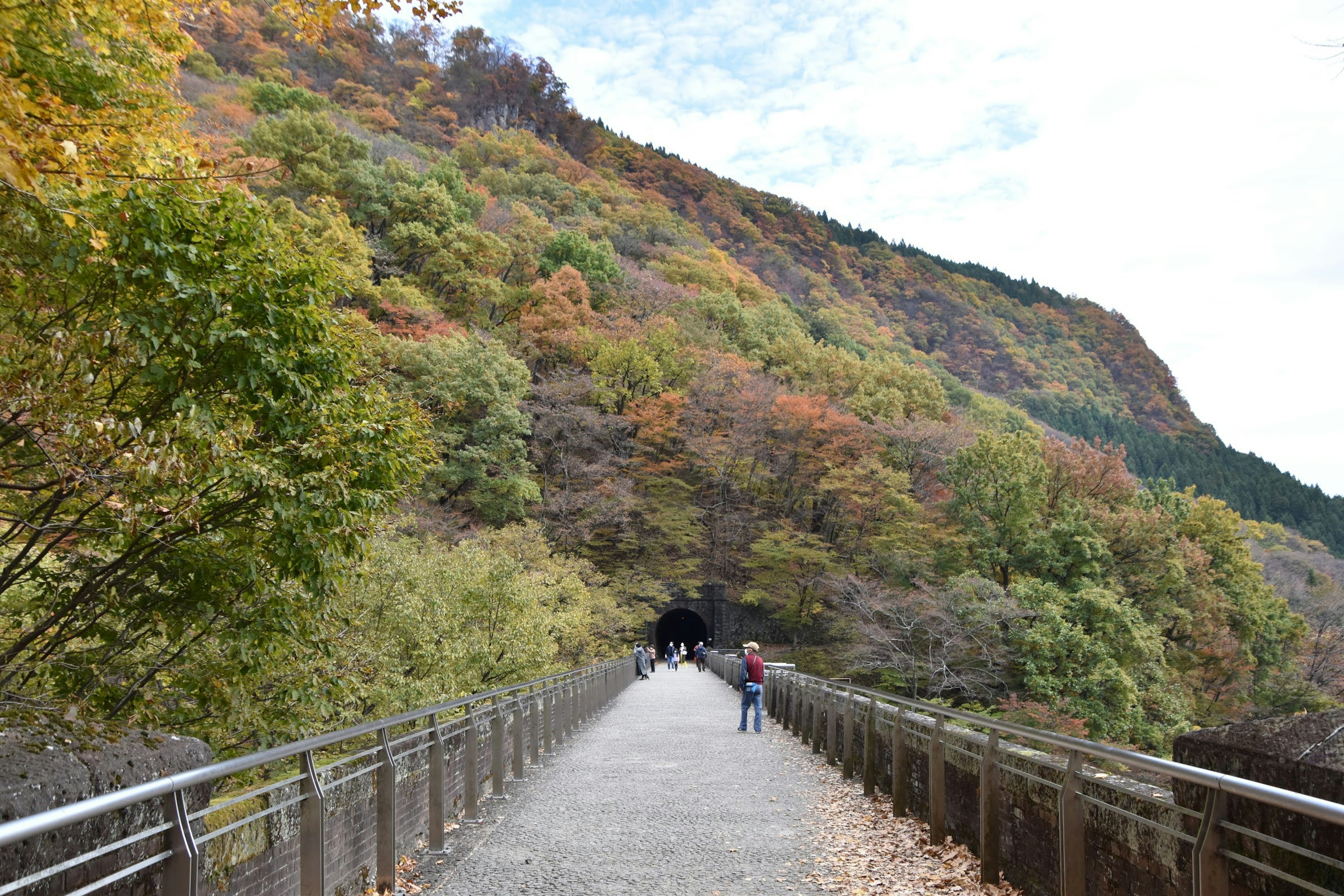 秋の色に彩られた山道の風景と歩く人々