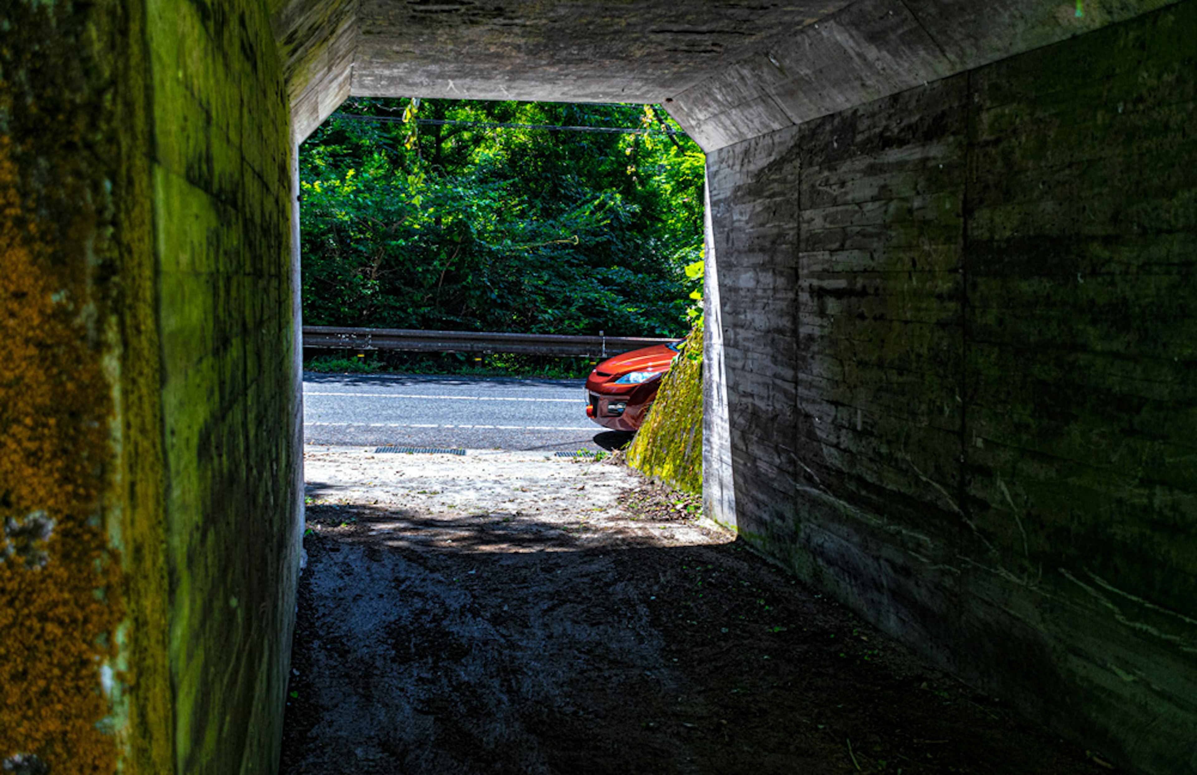 View of a lush green landscape and a red car from inside a tunnel