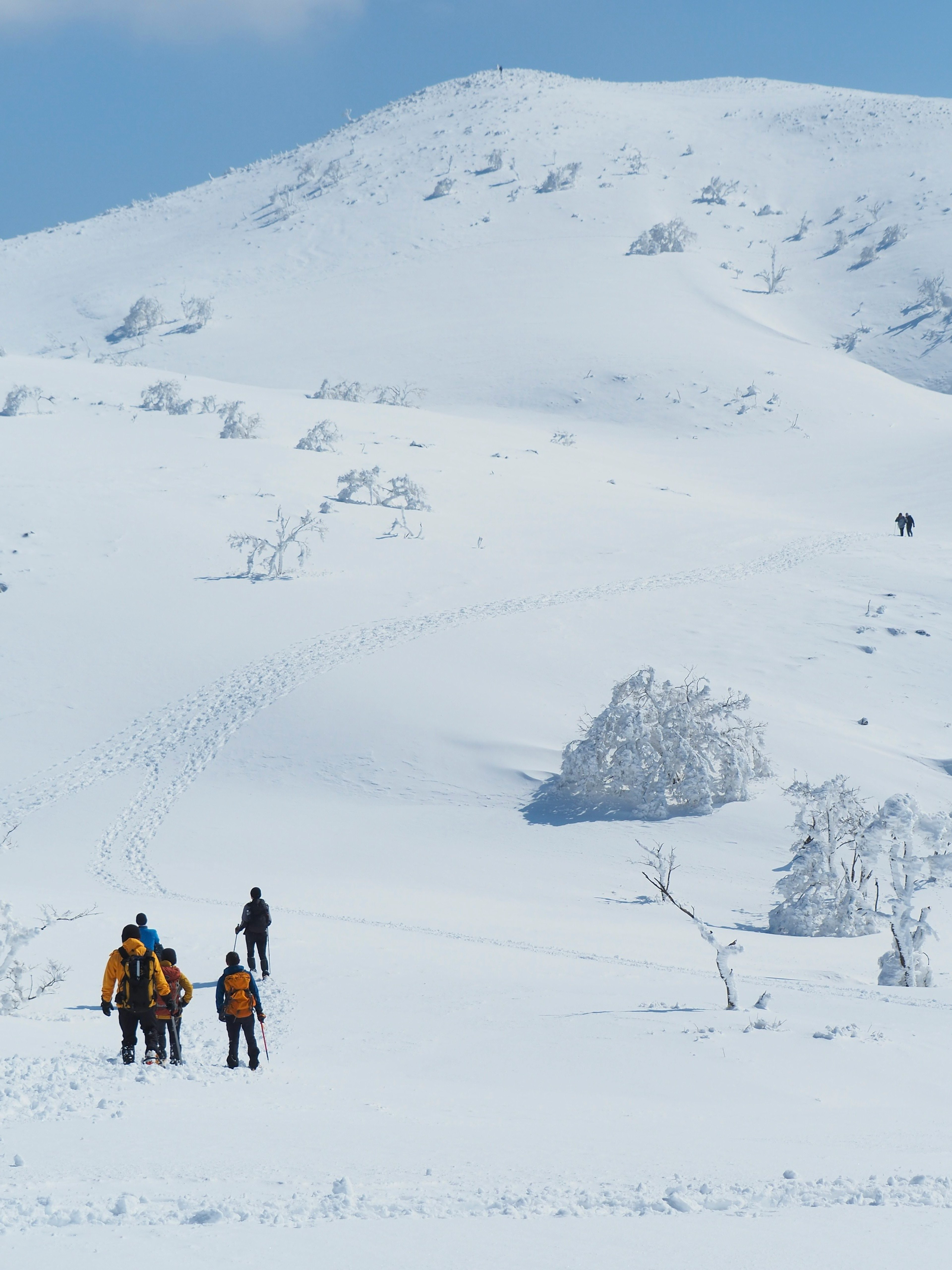 Menschen, die auf einer verschneiten Landschaft mit Bergen im Hintergrund Ski fahren