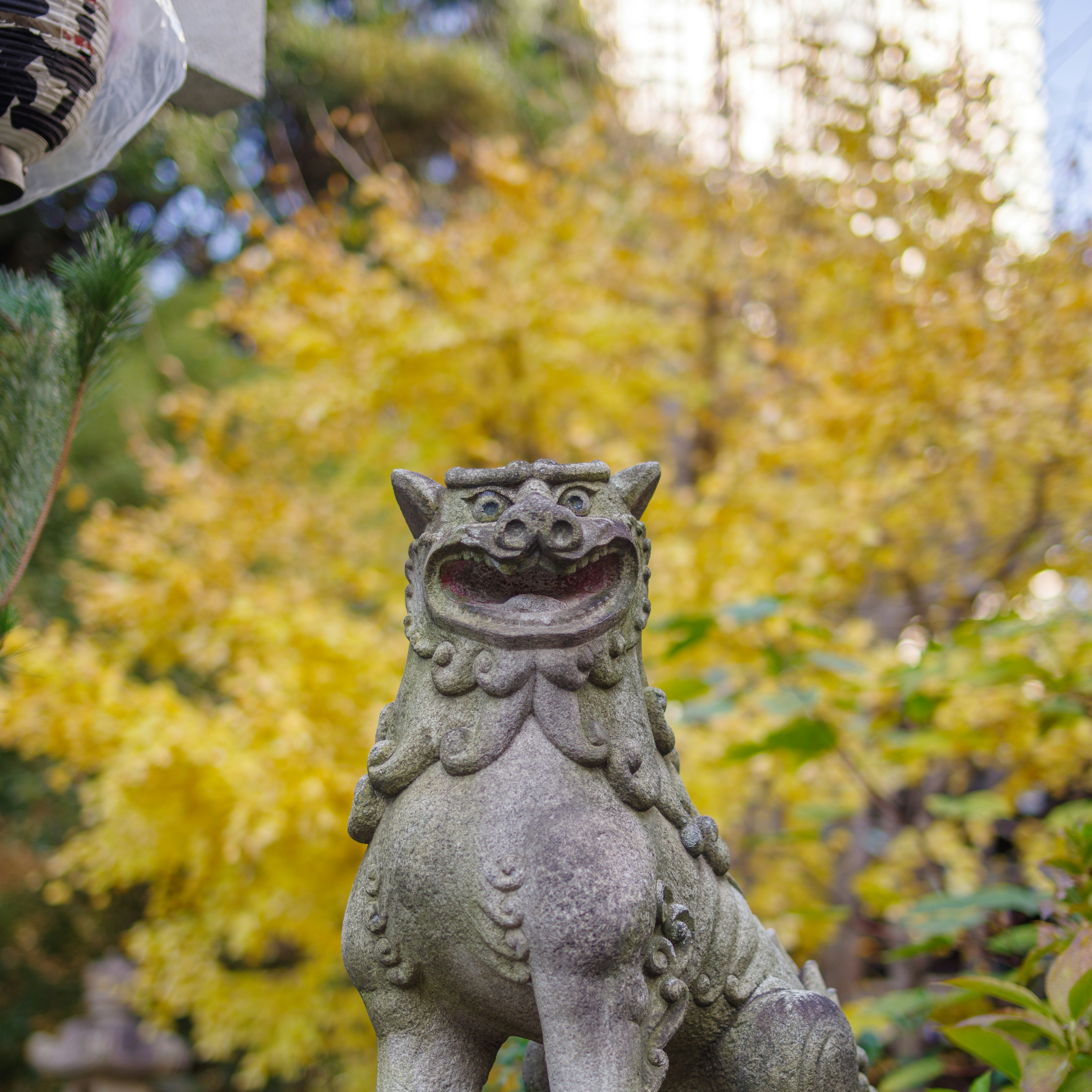 Statue de lion shishi avec une expression souriante sur fond de feuillage jaune