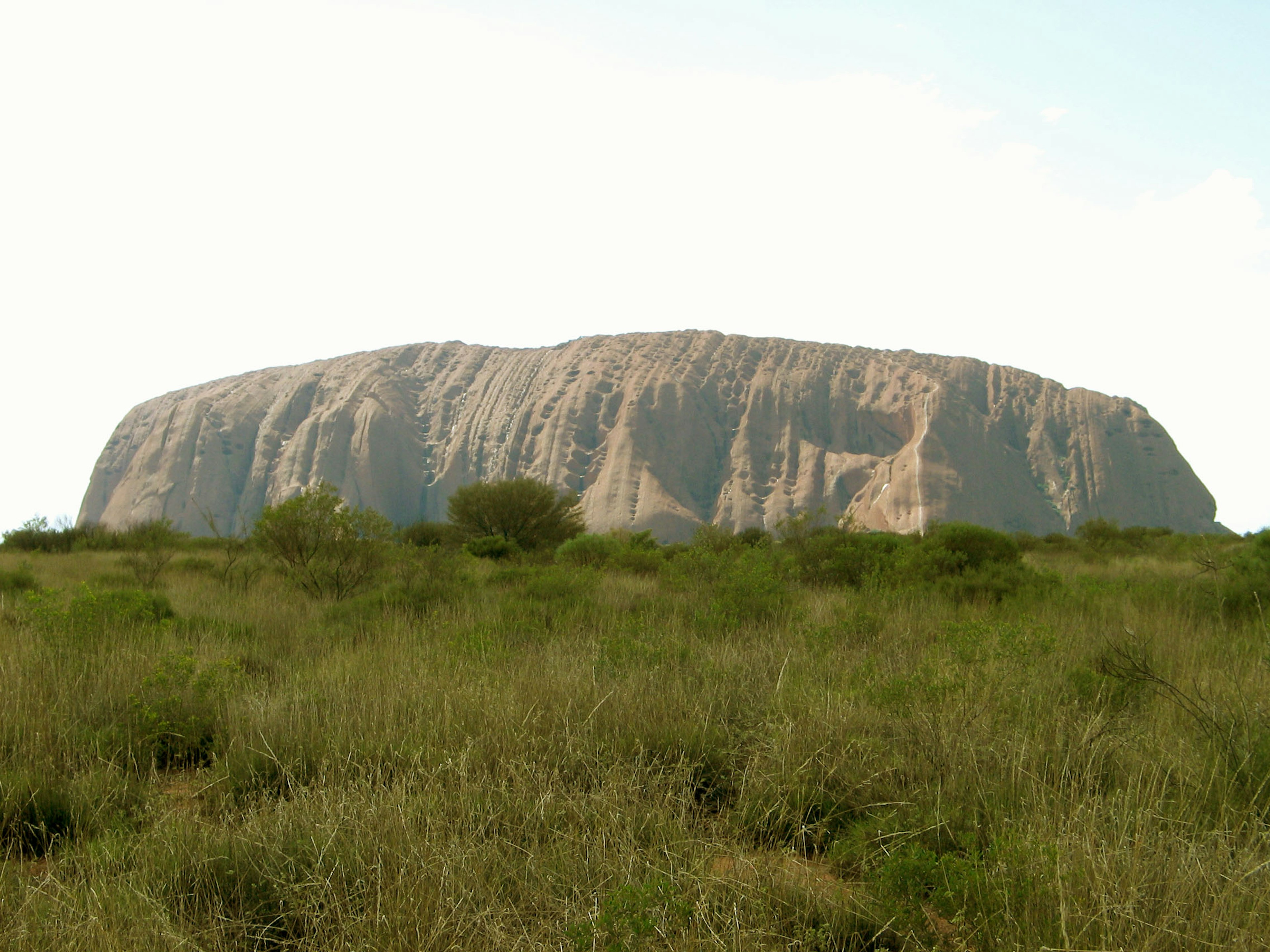 Uluru rock formation surrounded by green grassland