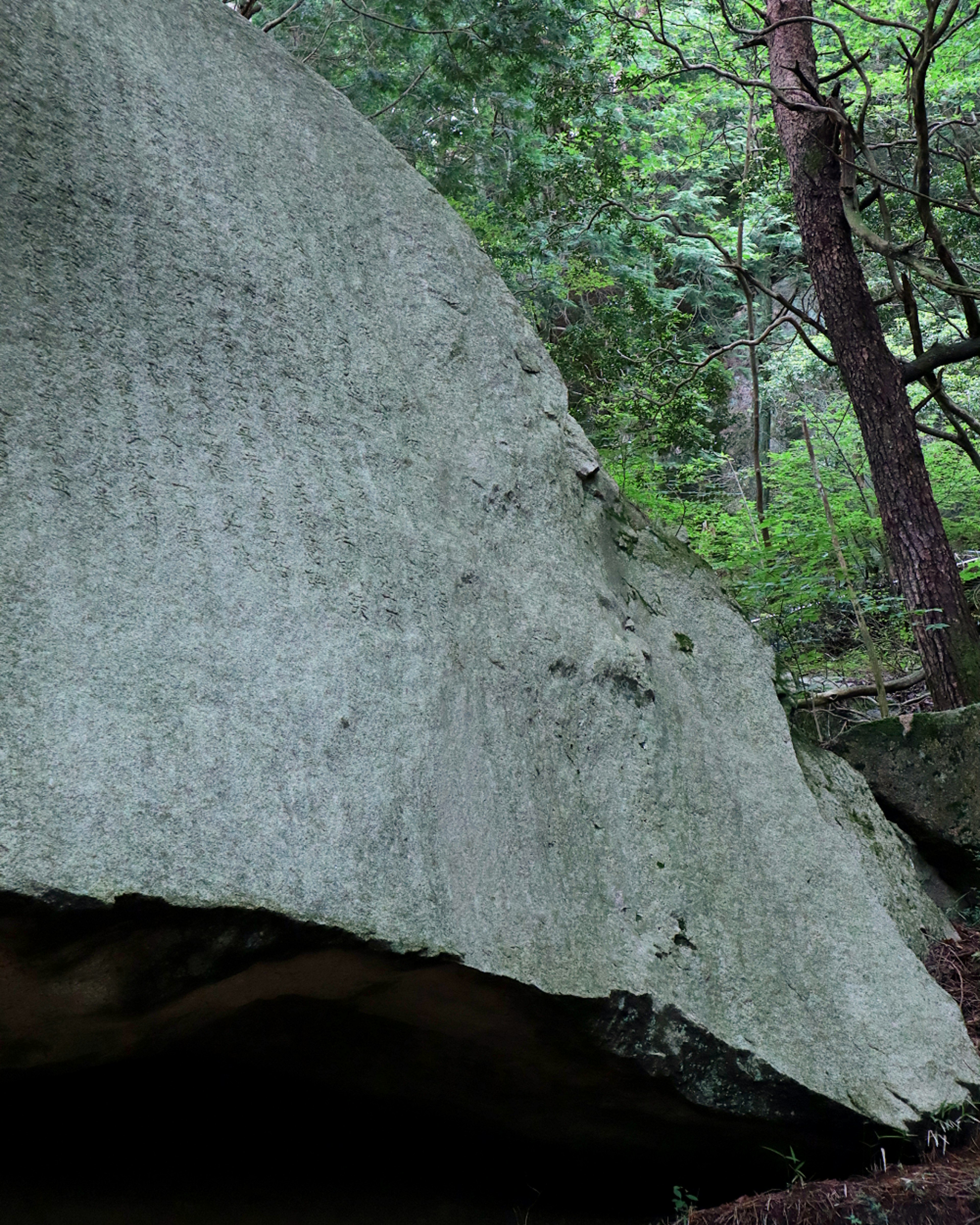 Grande formation rocheuse entourée d'arbres verts luxuriants