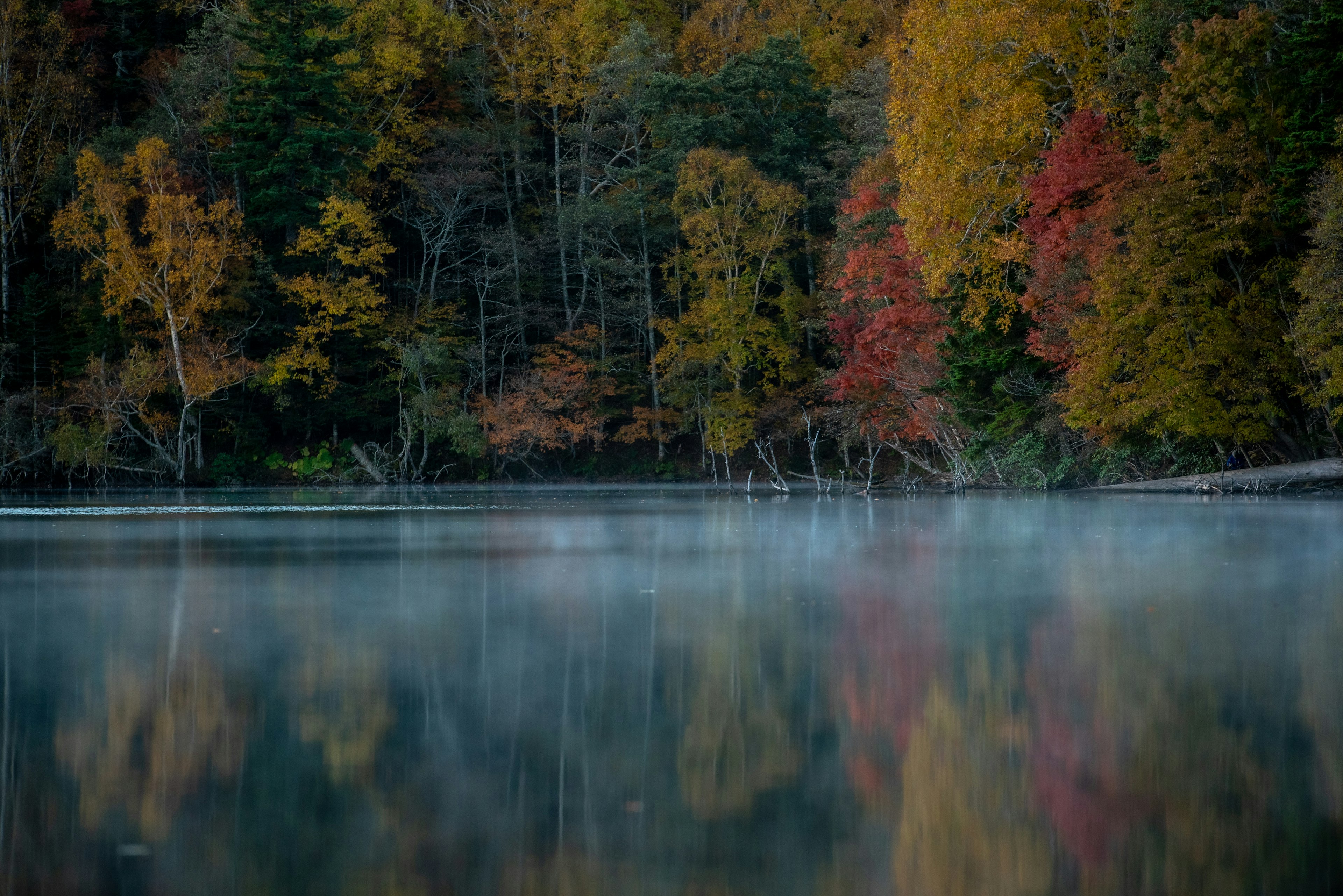 静かな湖面に映る秋の紅葉と霧