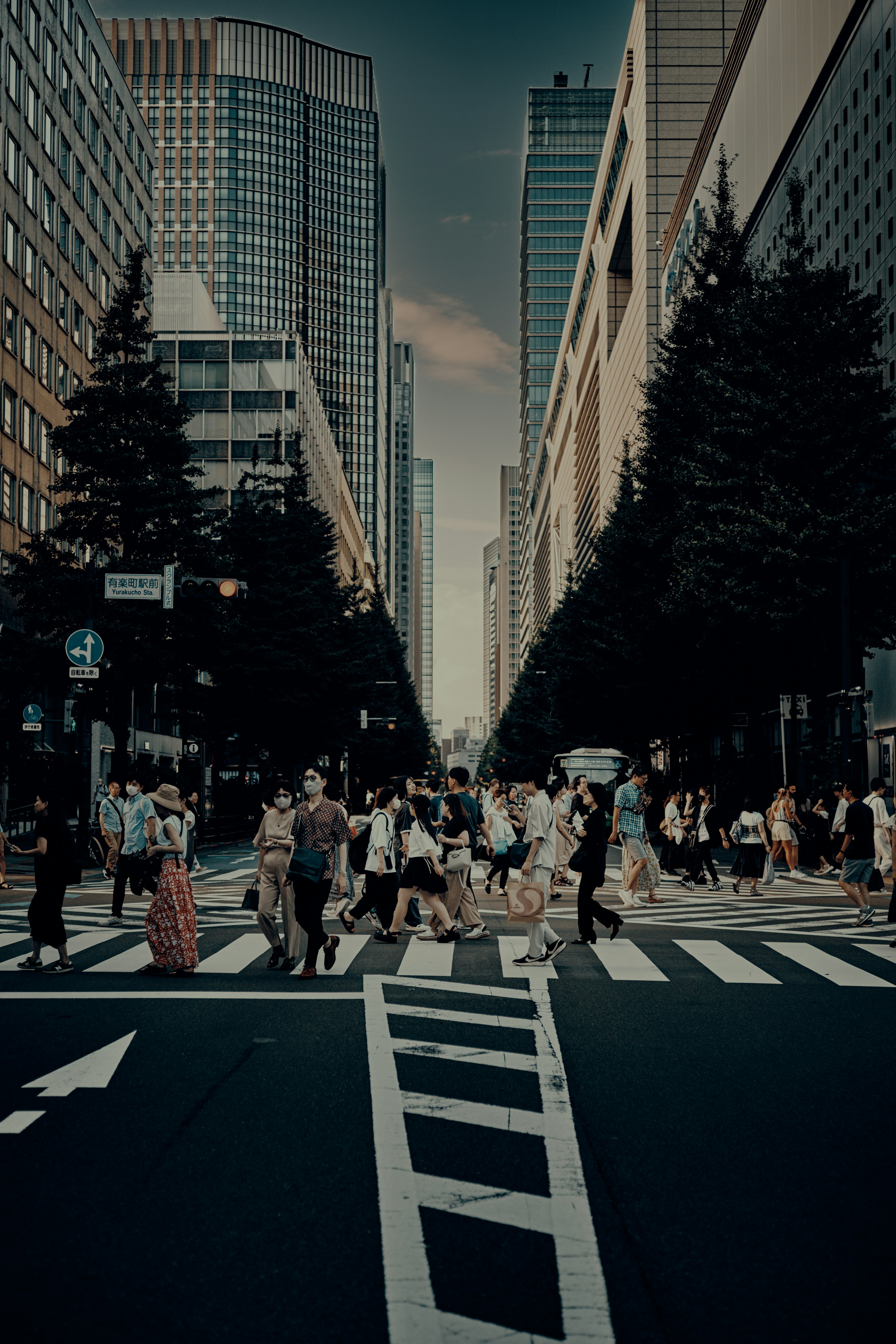 Pedestrians crossing a street at an urban intersection with skyscrapers and trees lining the road