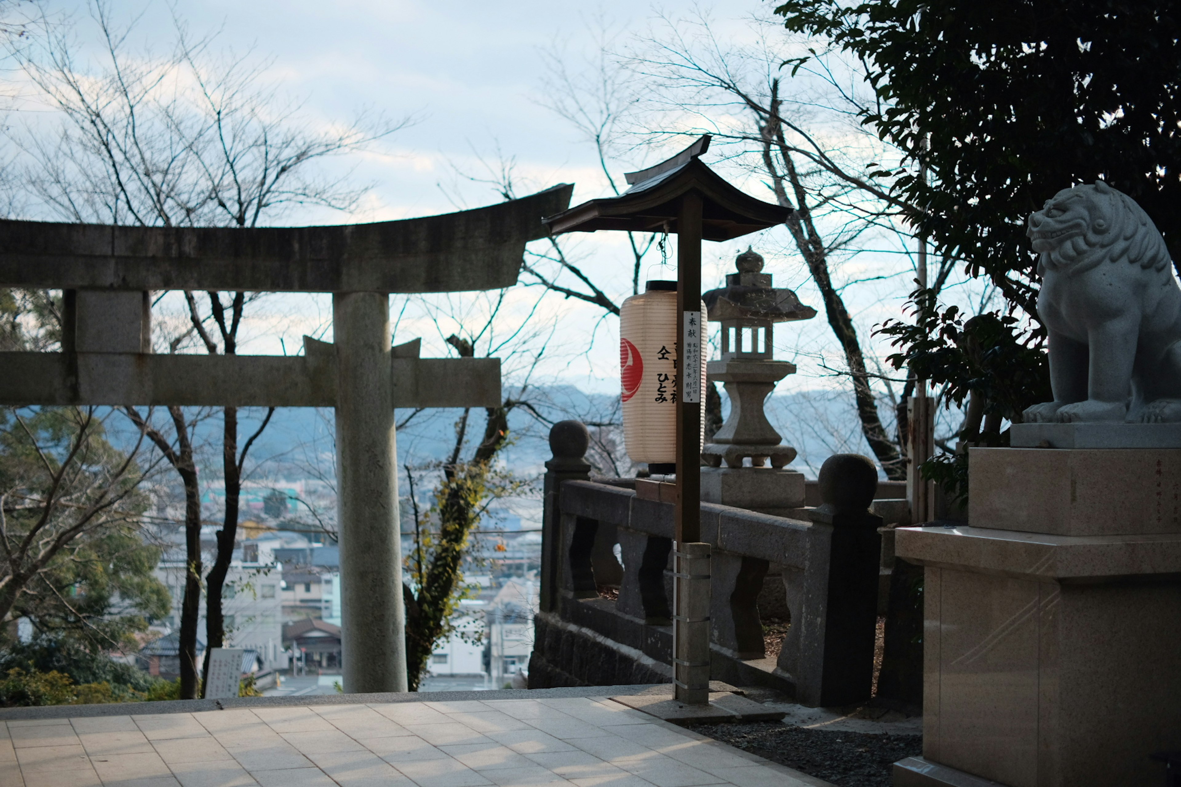 鳥居と石獅子が見える神社の景色