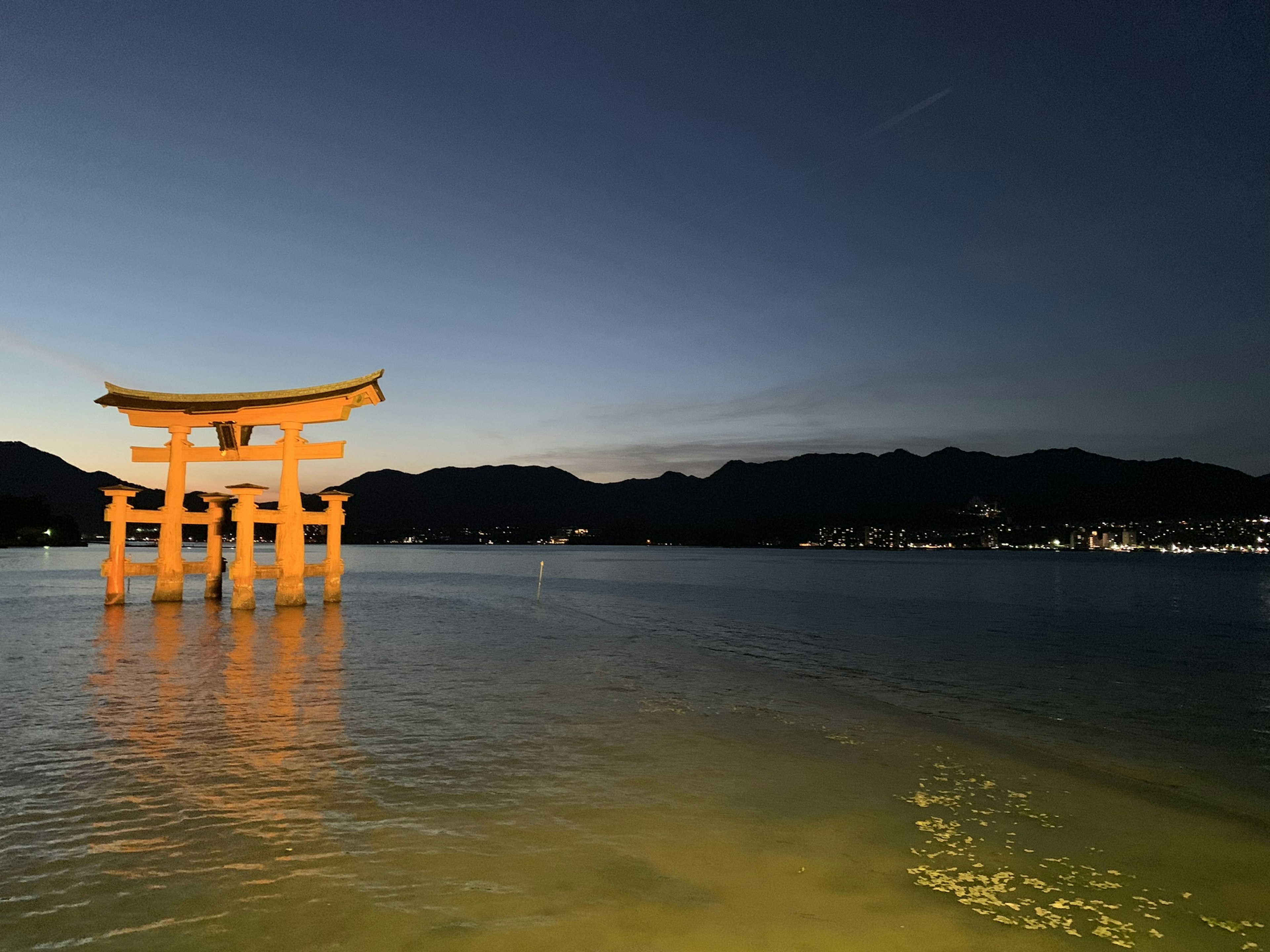 Hermosa vista de un torii en el mar por la noche