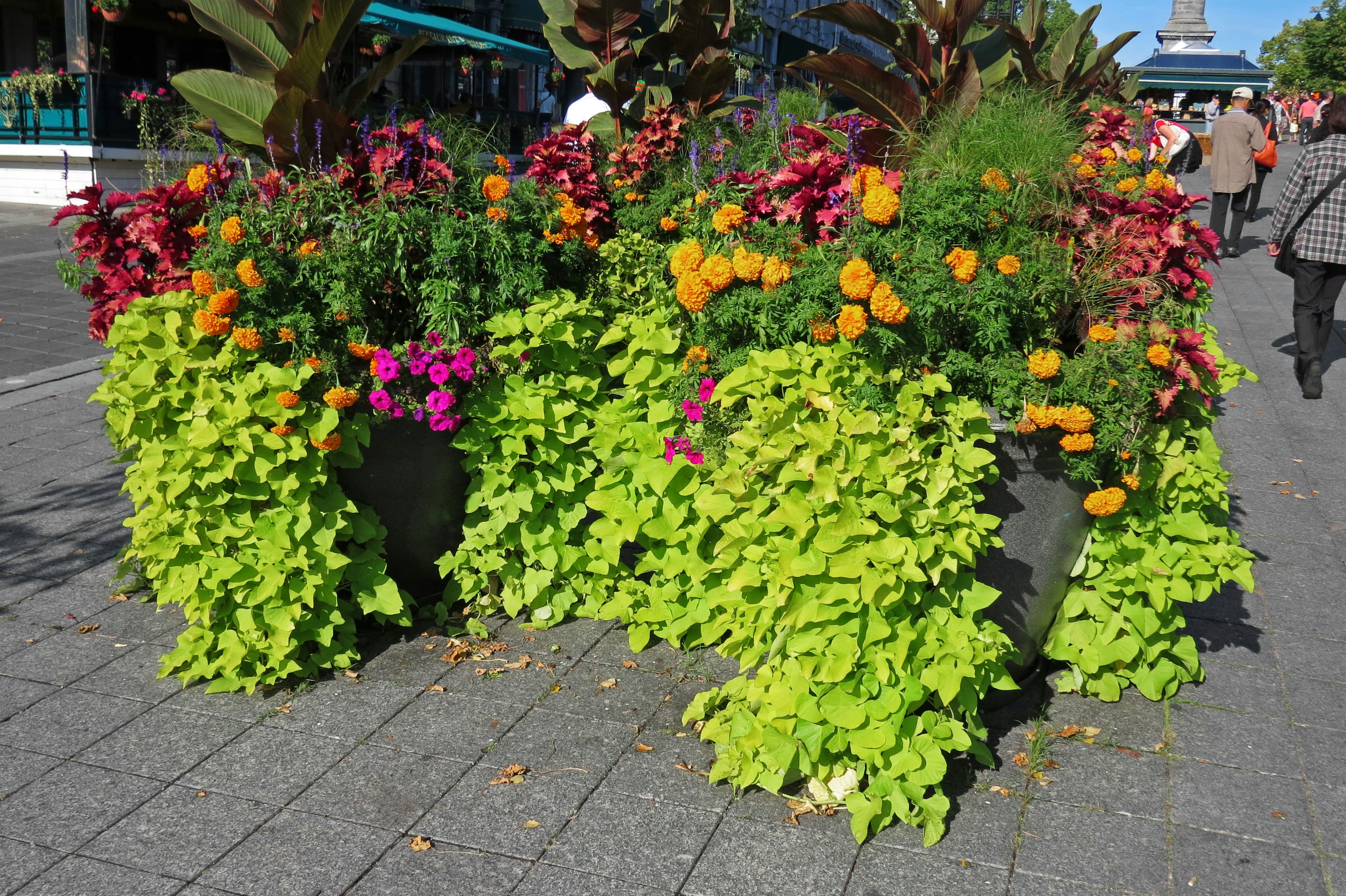 Colorful flower arrangements in green planters creating a vibrant landscape