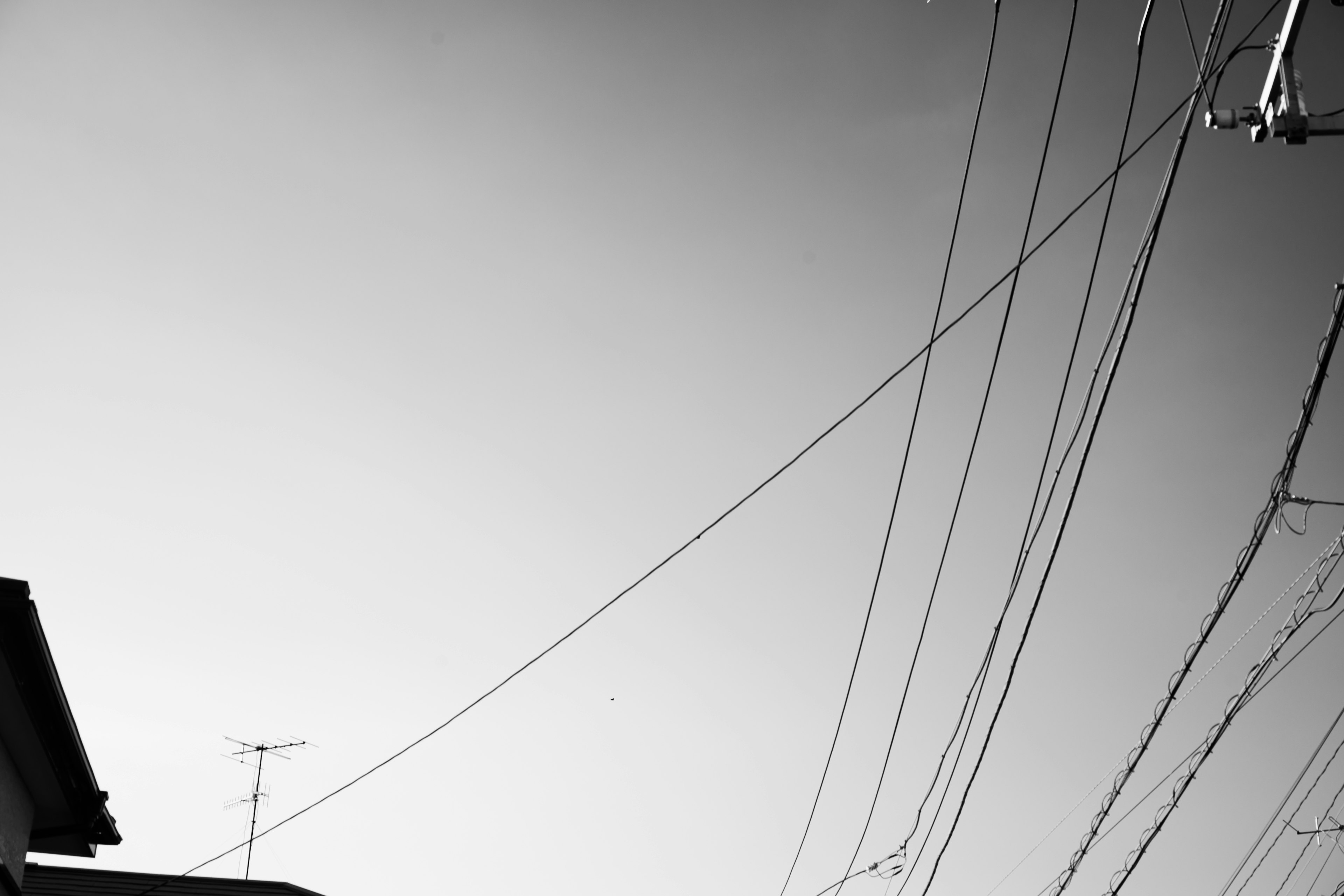 Silhouette d'un bâtiment contre un ciel monochrome avec des lignes électriques